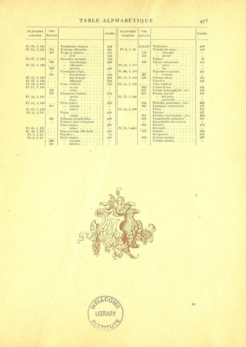 PLANCHES coloriées VIG. du texte PAGES PLANCHES coloriées VIG. du texte PAGES Pi. Ü6, f. 341 Verbascuiii thapsus .... 224 223à22.5 Violariées . 108 PI. 51, f. 321 511 Verbena officinalis 221 PI. 8, f. 45 Violette de mars 108 407 Verge à pasteur 176 226 — odorante ), — d’or 188 227 — pensée » PI. 57, f. 339 Veronica arvensis 229 Violier 97 541 — beccabuuga 228 390 Viorne cotonneuse ...... 172 PI. 57, f. 338 J> • • — olïicinalis PI. 32, f. 189 — oJ)icr „ 542 — spicata 229 — tin » » Véronique à épis » PI. 48, f. 285 Vipérine commune 211 541 — beccabunga 228 487 — violette ,) PI. 57, f. 339 — des champs 229 PI. 31, f. 184 396 Viscum album ..... 171 PI. 57, f. 338 — officinale 228 Vitacéôs 124 PI. 16, f. 105 Vesce cultivée 138 PI. 11, f. 165 Vitis viuifera ....... PI. 17, f. 106 — en épi ,) 343 Volant d’eau 151 307 — velue ,, 915 Voltzia heterophylla ( fos.) . 449 399 Viburnum lautana 172 655 Vulpiii agreste 276 PI. 32, f. 189 — opulus )) PI. 75, f. 448 — des près 1) — tinus » — genouillé PI. 16, f. 106 Vicia cracea 138 944 Walcliia piniformis (/os.). . 449 3Ô7 — hirsuta 1) 4,56 Xantliiuni struniarium . , . 195 PI. 16, f. 105 — sativa ), PI. 32, f. 188 Yèble . 173 PI. 11, f. 65 Vigne 124 Ypréau 247 ~ vierge >) 953 2^amites moreauanus (/os,) . 450 481 Villarsia nymphoïdes. . . , ■ 208 604 Zannichellia palustris . . . 256 .> Villarsie faux némipiiar . . )) » Zannichellie des marais . . 1) Vinca major 205 651 Zéacées. ... 274 PI. 46, f. 271 ~ mitior » PI. 73, f.435 Zea maïs . >> PI. 46, f. 275 Vincetoxicum officinale. . . 206 677 Zizanie 284 PI. 3, f. 16 Vinettier 91 ZoosporéüS 3OU PI. 8, f. 45 Viola canina 108 605 Zostera marina 256 22e — odorata .) » Zostère marine » 227 — tricolor ■■