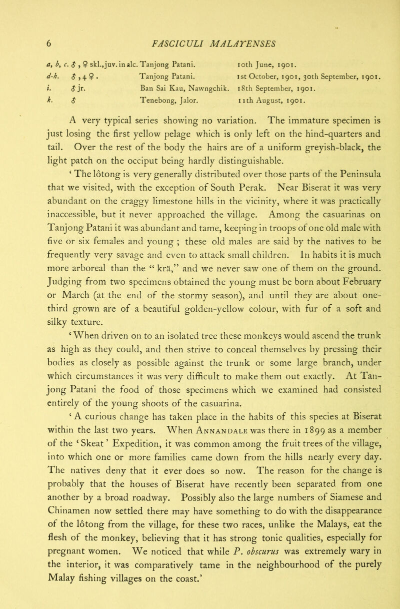 a, b, c. $ , 9 skl.,juv. in ale. Tanjong Patani. loth June, 1901. d-h. $ ,4. $ . Tanjong Patani. 1st October, 1901, 30th September, 1901. i. <£jr. Ban Sai Kau, Nawngchik. 18th September, 1901. k. $ Tenebong, Jalor. nth August, 1901. A very typical series showing no variation. The immature specimen is just losing the first yellow pelage which is only left on the hind-quarters and tail. Over the rest of the body the hairs are of a uniform greyish-black, the light patch on the occiput being hardly distinguishable. ‘ The lotong is very generally distributed over those parts of the Peninsula that we visited, with the exception of South Perak. Near Biserat it was very abundant on the craggy limestone hills in the vicinity, where it was practically inaccessible, but it never approached the village. Among the casuarinas on Tanjong Patani it was abundant and tame, keeping in troops of one old male with five or six females and young ; these old males are said by the natives to be frequently very savage and even to attack small children. In habits it is much more arboreal than the “ kra,” and we never saw one of them on the ground. Judging from two specimens obtained the young must be born about February or March (at the end of the stormy season), and until they are about one- third grown are of a beautiful golden-yellow colour, with fur of a soft and silky texture. ‘When driven on to an isolated tree these monkeys would ascend the trunk as high as they could, and then strive to conceal themselves by pressing their bodies as closely as possible against the trunk or some large branch, under which circumstances it was very difficult to make them out exactly. At Tan- jong Patani the food of those specimens which we examined had consisted entirely of the young shoots of the casuarina. ‘ A curious change has taken place in the habits of this species at Biserat within the last two years. When Annandale was there in 1899 as a member of the c Skeat ’ Expedition, it was common among the fruit trees of the village, into which one or more families came down from the hills nearly every day. The natives deny that it ever does so now. The reason for the change is probably that the houses of Biserat have recently been separated from one another by a broad roadway. Possibly also the large numbers of Siamese and Chinamen now settled there may have something to do with the disappearance of the lotong from the village, for these two races, unlike the Malays, eat the flesh of the monkey, believing that it has strong tonic qualities, especially for pregnant women. We noticed that while P. obscurus was extremely wary in the interior, it was comparatively tame in the neighbourhood of the purely Malay fishing villages on the coast.’