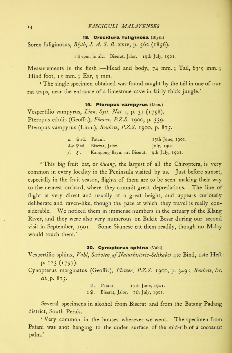 18. Crocidura fuliginosa (Blyth) Sorex fuliginosus, Blythy J. A. S. B. xxiv, p. 362 (1856). 1 9 spm. in ale. Biserat, Jalor. 19th July, 1901. Measurements in the flesh :—Head and body, 74 mm. ; Tail, 63*5 mm. ; Hind foot, 15 mm. ; Ear, 9 mm. * The single specimen obtained was found caught by the tail in one of our rat traps, near the entrance of a limestone cave in fairly thick jungle.’ 19. Pteropus vampyrus (Linn.) Vespertilio vampyrus, Linn. Syst. Nat. 1, p. 31 (1758). Pteropus edulis (Geoffr.), Flower, P.Z.S. 1900, p. 339. Pteropus vampyrus (Linn.), Bonhote, P.Z.S. 1900, p. 875. a. £ad. Patani. 15th June, 1901. b-e. $ ad. Biserat, Jalor. July, 1901 f. $ . Kampong Bayu, nr. Biserat. 9th July, 1901. c This big fruit bat, or kluang, the largest of all the Chiroptera, is very common in every locality in the Peninsula visited by us. Just before sunset, especially in the fruit season, flights of them are to be seen making their way to the nearest orchard, where they commit great depredations. The line of flight is very direct and usually at a great height, and appears curiously deliberate and raven-like, though the pace at which they travel is really con- siderable. We noticed them in immense numbers in the estuary of the Klang River, and they were also very numerous on Bukit Besar during our second visit in September, 1901. Some Siamese eat them readily, though no Malay would touch them.’ 20. Cynopterus sphinx (Vahl) Vespertilio sphinx, Vahl^ Scrivten af Naturhistorie-Selskabet 4te Bind, iste Heft' P. 123 (1797). Cynopterus marginatus (Geoflr.), Flower, P.Z.S. 1900, p. 349 ; Bonhote, loc. cit. p. 875. 9. Patani. 17th June, 1901. 2 9 • Biserat, Jalor. 7th July, 1901. Several specimens in alcohol from Biserat and from the Batang Padang district, South Perak. ‘ Very common in the houses wherever we went. The specimen from Patani was shot hanging to the under surface of the mid-rib of a cocoanut palm.’