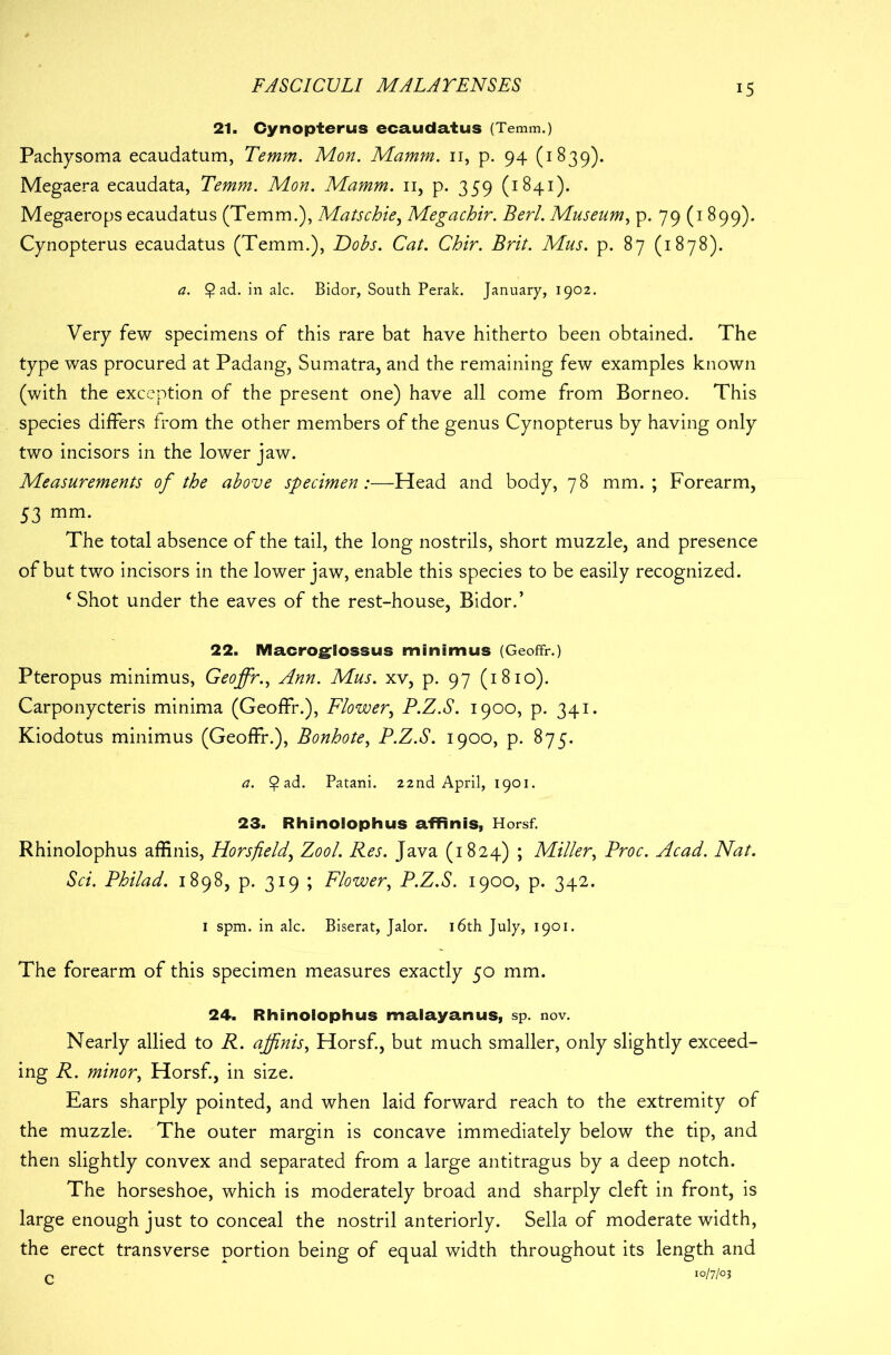 21. Cynopterus ecaudatus (Temm.) Pachysoma ecaudatum, Temm. Mon. Mamm. 11, p. 94 (1839). Megaera ecaudata, Temm. Mon. Mamm. 11, p. 359 (1841). Megaerops ecaudatus (Temm.), Matschie, Megachir. Berl. Museum, p. 79 (1899). Cynopterus ecaudatus (Temm.), Dobs. Cat. Chir. Brit. Mus. p. 87 (1878). a. ^ in ale. Bidor, South Perak. January, 1902. Very few specimens of this rare bat have hitherto been obtained. The type was procured at Padang, Sumatra, and the remaining few examples known (with the exception of the present one) have all come from Borneo. This species differs from the other members of the genus Cynopterus by having only two incisors in the lower jaw. Measurements of the above specimen:—Head and body, 78 mm.; Forearm, 53 mm- The total absence of the tail, the long nostrils, short muzzle, and presence of but two incisors in the lower jaw, enable this species to be easily recognized. ‘ Shot under the eaves of the rest-house, Bidor.’ 22. Macroglossus minimus (Geoffr.) Pteropus minimus, Geoffr., Ann. Mus. xv, p. 97 (1810). Carponycteris minima (Geoffr.), Flower, P.Z.S. 1900, p. 341. Kiodotus minimus (Geoffr.), Bonhote, P.Z.S. 1900, p. 875. a. $ ad. Patani. 22nd April, 1901. 23. Rhinolophus affinis, Horsf. Rhinolophus affinis, Horsfield, Zool. Res. Java (1824) ; Miller, Proc. Acad. Nat. Sci. Philad. 1898, p. 319 ; Flower, P.Z.S. 1900, p. 342. 1 spm. in ale. Biserat, Jalor. 16th July, 1901. The forearm of this specimen measures exactly 50 mm. 24. Rhinolophus malayanus, sp. nov. Nearly allied to R. affinis, Horsf., but much smaller, only slightly exceed- ing R. minor, Horsf., in size. Ears sharply pointed, and when laid forward reach to the extremity of the muzzle. The outer margin is concave immediately below the tip, and then slightly convex and separated from a large antitragus by a deep notch. The horseshoe, which is moderately broad and sharply cleft in front, is large enough just to conceal the nostril anteriorly. Sella of moderate width, the erect transverse portion being of equal width throughout its length and r 10/7/03