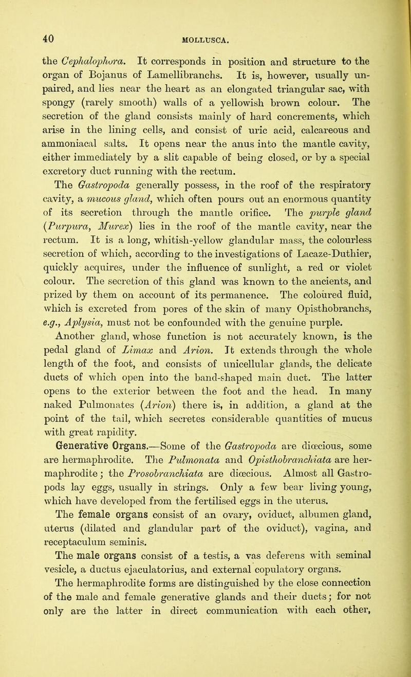 the Gephalophora. It corresponds in position and structure to the organ of Bojanus of Lamellibranchs. It is, however, usually un- paired, and lies near the heart as an elongated triangular sac, with spongy (rarely smooth) walls of a yellowish brown colour. The secretion of the gland consists mainly of hard concrements, which arise in the lining cells, and consist of uric acid, calcareous and ammoniacal salts. It opens near the anus into the mantle cavity, either immediately by a slit capable of being closed, or by a special excretory duct running with the rectum. The Gastropoda generally possess, in the roof of the respiratory cavity, a mucous gland, which often pours out an enormous quantity of its secretion through the mantle orifice. The purple gland (Purpura, Murex) lies in the roof of the mantle cavity, near the rectum. It is a long, whitish-yellow glandular mass, the colourless secretion of which, according to the investigations of Lacaze-Duthier, quickly acquires, under the influence of sunlight, a red or violet colour. The secretion of this gland was known to the ancients, and prized by them on account of its permanence. The coloured fluid, which is excreted from pores of the skin of many Opisthobranchs, e.g., Aplysia, must not be confounded with the genuine purple. Another gland, whose function is not accurately known, is the pedal gland of Limax and Arion. It extends through the whole length of the foot, and consists of unicellular glands, the delicate ducts of which open into the band-shaped main duct. The latter opens to the exterior between the foot and the head. In many naked Pulmonates [Arion) there is, in addition, a gland at the point of the tail, which secretes considerable quantities of mucus with great rapidity. Generative Organs.—Some of the Gastropoda are dioecious, some are hermaphrodite. The Pulmonata and Opisthobranchiata are her- maphrodite ; the Prosobranchiata are dioecious. Almost all Gastro- pods lay eggs, usually in strings. Only a few bear living young, which have developed from the fertilised eggs in the uterus. The female organs consist of an ovary, oviduct, albumen gland, uterus (dilated and glandular part of the oviduct), vagina, and receptaculum seminis. The male organs consist of a testis, a vas deferens with seminal vesicle, a ductus ejaculatorius, and external copulatory organs. The hermaphrodite forms are distinguished by the close connection of the male and female generative glands and their ducts; for not only are the latter in direct communication with each other,