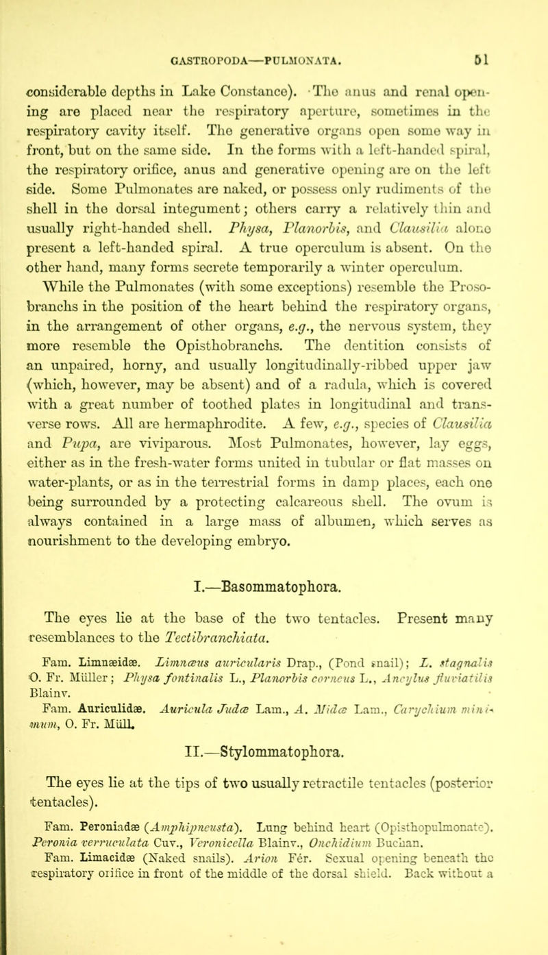 considerable depths in Lake Constance). Tho anus and renal open- ing are placed near the respiratory aperture, sometimes in the respiratory cavity itself. Tho generative organs open some way in front, but on tho same side. In the forms with a left-handed spiral, the respiratory orifice, anus and generative opening are on the left side. Some Pulmonates are naked, or possess only rudiments of the shell in the dorsal integument; others carry a relatively thin and usually right-handed shell. Physa, Planorbis, and Clausilia alono present a left-handed spiral. A true operculum is absent. On tho other hand, many forms secrete temporarily a winter operculum. While the Pulmonates (with some exceptions) resemble the Proso- branchs in the position of the heart behind the respiratory organs, in the arrangement of other organs, e.g., the nervous system, they more resemble the Opisthobranchs. The dentition consists of an impaired, horny, and usually longitudinally-ribbed upper jaw (which, however, may be absent) and of a radula, which is covered with a great number of toothed plates in longitudinal and trans- verse rows. All are hermaphrodite. A few, e.g., species of Clausilia and Pupa, are viviparous. Most Pulmonates, however, lay eggs, either as in the fresh-water forms united in tubular or flat masses on water-plants, or as in the terrestrial forms in damp places, each one being surrounded by a protecting calcareous shell. The ovum is always contained in a large mass of albumen, which serves as nourishment to the developing embryo. I.—Basommatophora. The eyes lie at the base of the two tentacles. Present many resemblances to the Tectibranchiata. Fam. Limnaeidae. Limnceus auricularis Drap., (Pond snail); L. stagnalis Ö. Fr. Müller; Physa fontinalis L., Planorbis cor ncus L., Ancylus fluviatilis Blainv. Fam. Auriculidae. Auricula Judoe Lam., A. Midce Lam., Carychium mini* mum, 0. Fr. Hüll. II.—Stylommatophora. The eyes lie at the tips of two usually retractile tentacles (posterior tentacles). Fam. Peroniadaa (Amphijjneusta). Lung behind heart (Opisthopulmonate). Peronia vermculata Cuv., Veronicella Blainv., Onchidium Buchan. Fam. Limacidae (Naked snails). Arion Fer. Sexual opening beneath the respiratory orifice in front of the middle of the dorsal shield. Back without a