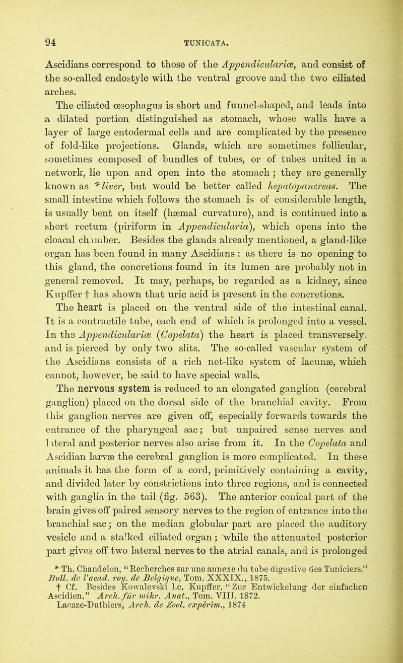 Ascidians correspond to those of the Appendicularice, and consist of the so-called endostyle with the ventral groove and the two ciliated arches. The ciliated cesophagus is short and funnel-shaped, and leads into a dilated portion distinguished as stomach, whose walls have a layer of large entodermal cells and are complicated by the presence of fold-like projections. Glands, which are sometimes follicular, sometimes composed of bundles of tubes, or of tubes united in a network, lie upon and open into the stomach; they are generally known as * liver, but would be better called hepatopancreas. The small intestine which follows the stomach is of considerable length, is usually bent on itself (haemal curvature), and is continued into a short rectum (piriform in Appendicularia), which opens into the cloacal chamber. Besides the glands already mentioned, a gland-like organ has been found in many Ascidians : as there is no opening to this gland, the concretions found in its lumen are probably not in general removed. It may, perhaps, be regarded as a kidney, since Kupffer f has shown that uric acid is present in the concretions. The heart is placed on the ventral side of the intestinal canal. It is a contractile tube, each end of which is prolonged into a vessel. In the Appendicularice (Copdata) the heart is placed transversely, and is pierced by only two slits. The so-called vascular system of the Ascidians consists of a rich net-like system of lacunae, which cannot, however, be said to have special walls. The nervous system is reduced to an elongated ganglion (cerebral ganglion) placed on the dorsal side of the branchial cavity. From this ganglion nerves are given off, especially forwards towards the entrance of the pharyngeal sac; but unpaired sense nerves and 1 xteral and posterior nerves also arise from it. In the Copelata and Ascidian larvae the cerebral ganglion is more complicated. In these animals it has the form of a cord, primitively containing a cavity, and divided later by constrictions into three regions, and is connected with ganglia in the tail (fig. 563). The anterior conical part of the brain gives off paired sensory nerves to the region of entrance into the branchial sac; on the median globular part are placed the auditory vesicle and a stalked ciliated organ; while the attenuated posterior part gives off two lateral nerves to the atrial canals, and is prolonged * Th. Chandelon, “Recherches sur une annexe clu tube digestive des Tuniciers.” Bull, de Vacad. roy. de Belgique, Tom. XXXIX., 1875. f Cf. Besides Kowalevski l.c. Kupffer, “ Zur Entwickelung der einfachen Ascidien.” Arch, für mikr. Anat., Tom. VIII. 1872. Laeaze-Duthiers, Arch, de Zool. experim., 1874