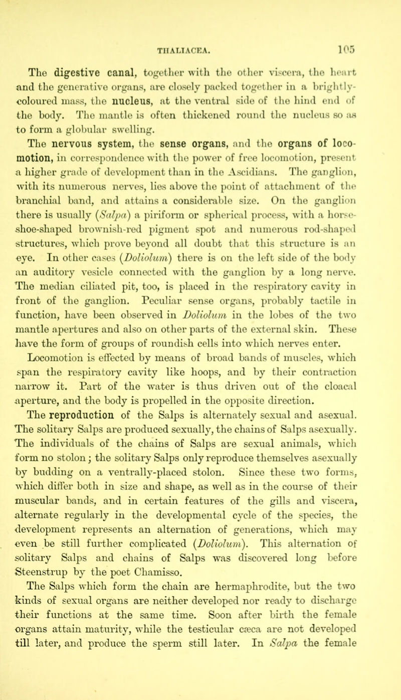 Tho digestive canal, together with the other viscera, the heart and the generative organs, are closely packed together in a brightly- coloured mass, the nucleus, at the ventral side of the hind end of the body. Tho mantle is often thickened round the nucleus so as to form a globular swelling. The nervous system, the sense organs, and tho organs of loco- motion, in correspondence with the power of free locomotion, present a higher grade of development than in the Ascidians. The ganglion, with its numerous nerves, lies above the point of attachment of the branchial band, and attains a considerable size. On the ganglion there is usually (Scilpa) a piriform or spherical process, with a horse- shoe-shaped brownish-red pigment spot and numerous rod-shaped structures, which prove beyond all doubt that this structure is an eye. In other cases (Doliolum) there is on the left side of the body an auditory vesicle connected with the ganglion by a long nerve. The median ciliated pit, too, is placed in the respiratory cavity in front of the ganglion. Peculiar sense organs, probably tactile in function, have been observed in Doliolum in the lobes of the two mantle apertures and also on other parts of the external skin. These have the form of groups of roundish cells into which nerves enter. Locomotion is effected by means of broad bands of muscles, which span the respiratory cavity like hoops, and by their contraction narrow it. Part of the water is thus driven out of the cloacal aperture, and the body is propelled in the opposite direction. The reproduction of the Salps is alternately sexual and asexual. The solitary Salps are produced sexually, the chains of Salps asexually. The individuals of the chains of Salps are sexual animals, which form no stolon; the solitary Salps only reproduce themselves asexually by budding on a ventrally-placed stolon. Since these two forms, which differ both in size and shape, as well as in the course of their muscular bands, and in certain features of the gills and viscera, alternate regularly in the developmental cycle of the species, the development represents an alternation of generations, which may even be still further complicated [Doliolum). This alternation of solitary Salps and chains of Salps was discovered long before Steenstrup by the poet Chamisso. The Salps which form the chain are hermaphrodite, but the two kinds of sexual organs are neither developed nor ready to discharge their functions at the same time. Soon after birth the female organs attain maturity, while the testicular cfeca are not developed till later, and produce the sperm still later. In Salpa the female