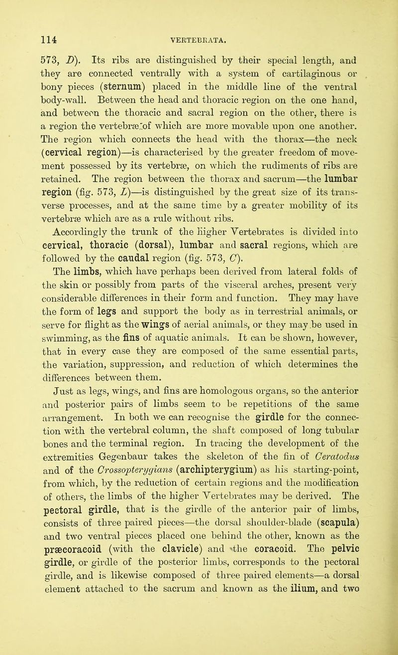 573, D). Its ribs are distinguished by their special length, and they are connected ventrally with a system of cartilaginous or bony pieces (sternum) placed in the middle line of the ventral body-wall. Between the head and thoracic region on the one hand, and between the thoracic and sacral region on the other, there is a region the vertebrse.'of which are more movable upon one another. The region which connects the head with the thorax—the neck (cervical region)—is characterised by the greater freedom of move- ment possessed by its vertebrae, on which the rudiments of ribs are retained. The region between the thorax and sacrum—the lumbar region (fig. 573, V)—is distinguished by the great size of its trans- verse processes, and at the same time by a greater mobility of its vertebrae which are as a rule without ribs. Accordingly the trunk of the higher Vertebrates is divided into cervical, thoracic (dorsal), lumbar and sacral regions, which are followed by the caudal region (fig. 573, C). The limbs, which have perhaps been derived from lateral folds of the skin or possibly from parts of the visceral arches, present very considerable differences in their form and function. They may have the form of legs and support the body as in terrestrial animals, or serve for flight as the wings of aerial animals, or they may .be used in swimming, as the fins of aquatic animals. It can be shown, however, that in every case they are composed of the same essential parts, the variation, suppression, and reduction of which determines the differences between them. Just as legs, wings, and fins are homologous organs, so the anterior and posterior pairs of limbs seem to be repetitions of the same arrangement. In both we can recognise the girdle for the connec- tion with the vertebral column, the shaft composed of long tubular bones and the terminal region. In tracing the development of the extremities Gegenbaur takes the skeleton of the fin of Ceratodus and of the Crossopterygians (archipterygium) as his starting-point, from which, by the reduction of certain regions and the modification of others, the limbs of the higher Vertebrates may be derived. The pectoral girdle, that is the girdle of the anterior pair of limbs, consists of three paired pieces—the dorsal shoulder-blade (scapula) and two ventral pieces placed one behind the other, known as the prcecoracoid (with the clavicle) and »the coracoid. The pelvic girdle, or girdle of the posterior limbs, corresponds to the pectoral girdle, and is likewise composed of three paired elements—a dorsal element attached to the sacrum and known as the ilium, and two