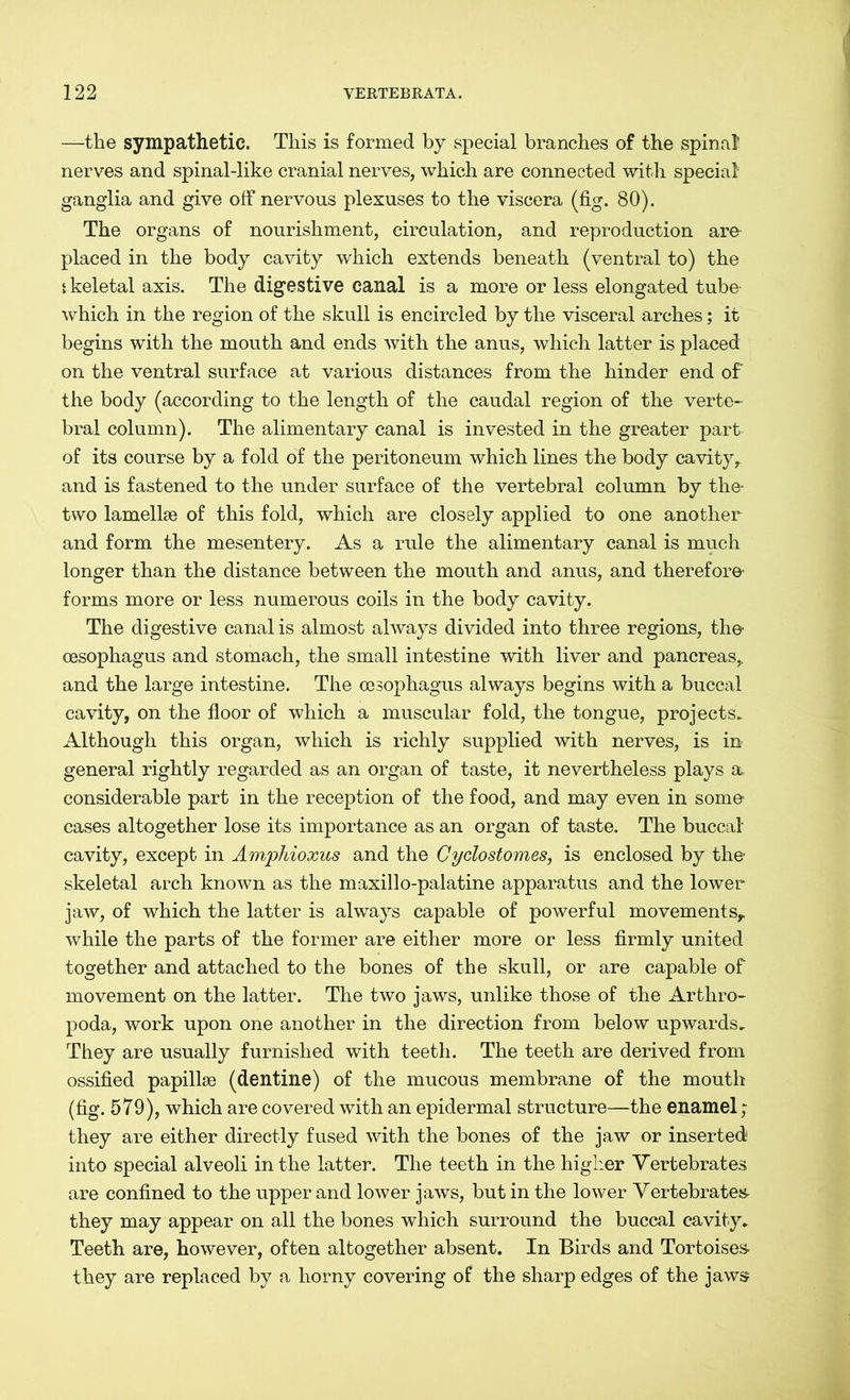 —the sympathetic. This is formed by special branches of the spinal nerves and spinal-like cranial nerves, which are connected with special ganglia and give off nervous plexuses to the viscera (fig. 80). The organs of nourishment, circulation, and reproduction are placed in the body cavity which extends beneath (ventral to) the ikeletal axis. The digestive canal is a more or less elongated tube which in the region of the skull is encircled by the visceral arches; it begins with the mouth and ends with the anus, which latter is placed on the ventral surface at various distances from the hinder end of the body (according to the length of the caudal region of the verte- bral column). The alimentary canal is invested in the greater part of its course by a fold of the peritoneum which lines the body cavity,, and is fastened to the under surface of the vertebral column by the- two lamellae of this fold, which are closely applied to one another and form the mesentery. As a rule the alimentary canal is much longer than the distance between the mouth and anus, and therefore- forms more or less numerous coils in the body cavity. The digestive canal is almost always divided into three regions, the oesophagus and stomach, the small intestine with liver and pancreas,, and the large intestine. The oesophagus always begins with a buccal cavity, on the floor of which a muscular fold, the tongue, projects. Although this organ, which is richly supplied with nerves, is in general rightly regarded as an organ of taste, it nevertheless plays a considerable part in the reception of the food, and may even in some cases altogether lose its importance as an organ of taste. The buccal- cavity, except in Amphioxus and the Cyclostomes, is enclosed by the skeletal arch known as the maxillo-palatine apparatus and the lower jaw, of which the latter is always capable of powerful movements, while the parts of the former are either more or less firmly united together and attached to the bones of the skull, or are capable of movement on the latter. The two jaws, unlike those of the Arthro- poda, work upon one another in the direction from below upwards. They are usually furnished with teeth. The teeth are derived from ossified papillae (dentine) of the mucous membrane of the mouth (fig. 579), which are covered with an epidermal structure—the enamel ; they are either directly fused with the bones of the jaw or inserted into special alveoli in the latter. The teeth in the higher Vertebrates are confined to the upper and lower jaws, but in the lower Vertebrates- they may appear on all the bones which surround the buccal cavity. Teeth are, however, often altogether absent. In Birds and Tortoises- they are replaced by a horny covering of the sharp edges of the jaws;