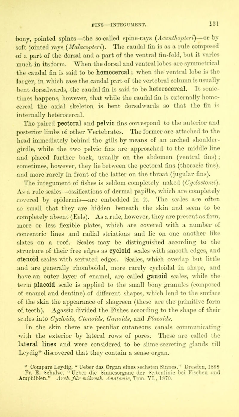bony, pointed spines—the so-called spine-rays (Acanlhopteri)—or by soft jointed rays (Mcdacopteri). The caudal fin is as a rule composed of a part of the dorsal and a part of the ventral fin-fold, but it varies much in its form. When the dorsal and ventral lobes are symmetrical the caudal fin is said to be homocercal; when the ventral lobe is the larger, in which case the caudal part of the vertebral column is usually bent dorsal wards, the caudal fin is said to be heterocercal. It some- times happens, however, that while the caudal fin is externally homo- cercal the axial skeleton is bent dorsal wards so that the fin is internally heterocercal. The paired pectoral and pelvic fins correspond to the anterior and posterior limbs of other Vertebrates. The former are attached to the head immediately behind the gills by means of an arched shoulder- girdle, while the two pelvic fins are approached to the middle line and placed further back, usually on the abdomen (ventral fins) ; sometimes, however, they lie between the pectoral fins (thoracic fins), and more rarely in front of the latter on the throat (jugular fins). The integument of fishes is seldom completely naked (Cyclostomi). As a rule scales—ossifications of dermal papilhe, which are completely covered by epidermis—are embedded in it. The scales are often so small that they are hidden beneath the skin and seem to be completely absent (Eels). As a rule, however, they are present as firm, more or less flexible plates, which are covered with a number of concentric lines and radial striations and lie on one another like slates on a roof. Scales may be distinguished according to the structure of their free edges as cycloid scales with smooth edges, and ctenoid scales with serrated edges. Scales, which overlap but little .and are generally rhomboidal, more rarely cycloidal in shape, and have an outer layer of enamel, are called ganoid scales, while the term placoid scale is applied to the small bony granules (composed of enamel and dentine) of different shapes, which lend to the surface of the skin the appearance of shagreen (these are the primitive form of. teeth). Agassiz divided the Fishes according to the shape of their scales into Cycloids, Ctenoids, Ganoids, and Placoids. In the skin there are peculiar cutaneous canals communicating with the exterior by lateral rows of pores. These are called the lateral lines and were considered to be slime-secreting glands till Leydig* discovered that they contain a sense organ. * Compare Leydig, “ Ueber das Organ eines sechsten Sinnes.'5 Dresden, 186S Fr. E. Schulze. “ Ueber die Sinnesorgane der Seitenlinie bei Fischen und Amphibien.” Arch, für mikrosh. Anatomie, Tom. YI., 1870.