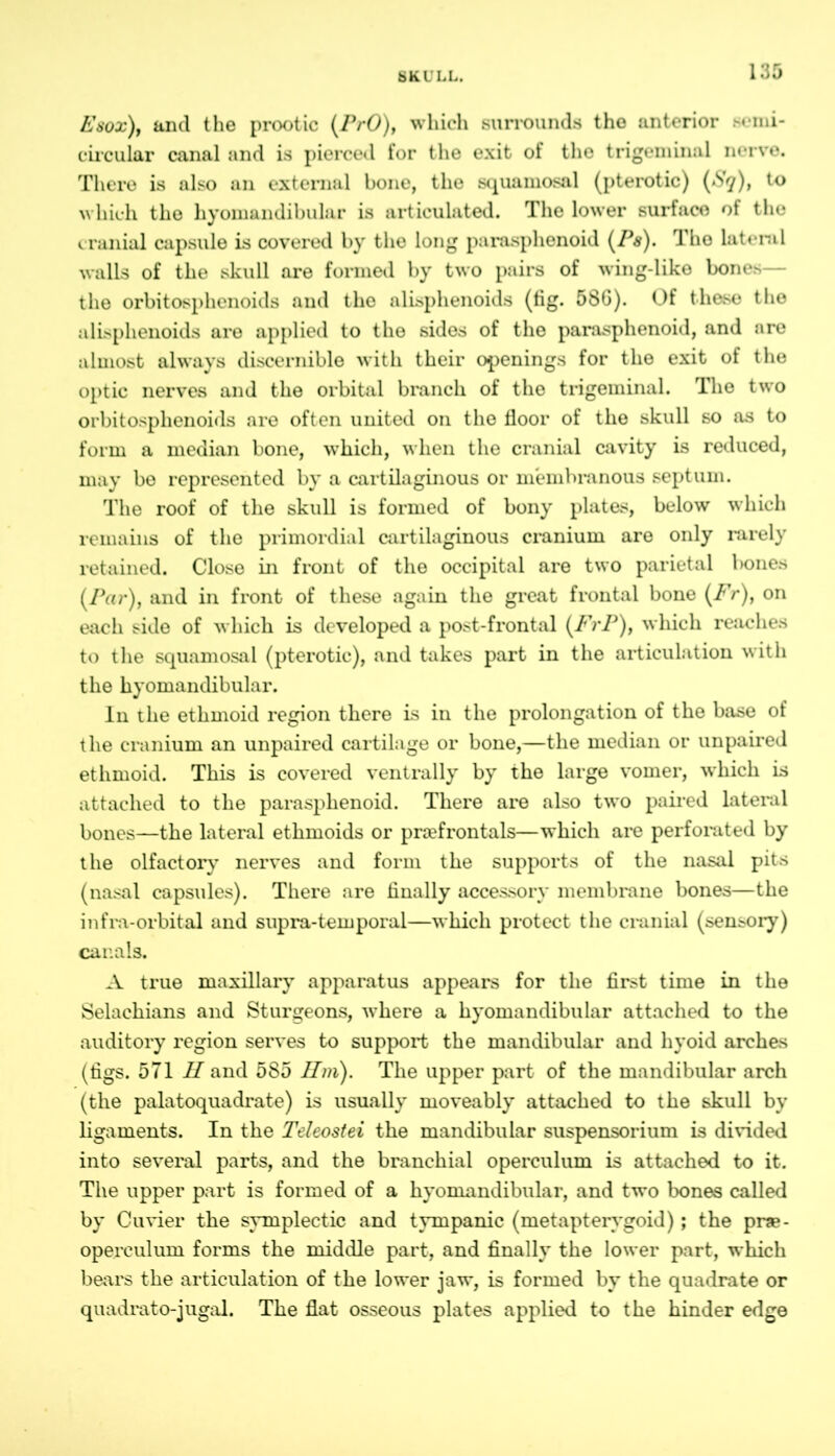 SKU LL» Esox), and the prootic (PrO), which surrounds the anterior semi- circular canal and is pierced for the exit of the trigeminal nerve. There is also an external bone, the squamosal (pterotic) (Sq), to which the hyomandibular is articulated. The lower surface of the cranial capsule is covered by the long parasphenoid (Ps). Tho lateral walls of the skull are formed by two pairs of wing-like bones— the orbitosphenoids and the alisphenoids (fig. 586). Of these the alispkenoids are applied to the sides of the parasphenoid, and are almost always discernible with their openings for the exit of the optic nerves and the orbital branch of the trigeminal. The two orbitosphenoids are often united on the floor of the skull so as to form a median bone, which, when the cranial cavity is reduced, may be represented by a cartilaginous or membranous septum. The roof of the skull is formed of bony plates, below which remains of the primordial cartilaginous cranium are only rarely retained. Close in front of the occipital are two parietal bones (Par), and in front of these again the great frontal bone (Fr), on each side of which is developed a post-frontal (Fi'P), which reaches to the squamosal (pterotic), and takes part in the articulation with the hyomandibular. In the ethmoid region there is in the prolongation of the base of the cranium an unpaired cartilage or bone,—the median or unpaired ethmoid. This is covered ventrally by the large vomer, which is attached to the parasphenoid. There are also two paired lateral bones—the lateral etkmoids or proefrontals—which are perforated by the olfactory nerves and form the supports of the nasal pits (nasal capsules). There are finally accessory membrane bones—the infra-orbital and supra-temporal—which protect the cranial (sensory) canals. A true maxillary apparatus appears for the first time in the Selachians and Sturgeons, where a hyomandibular attached to the auditory region serves to support the mandibular and hyoid arches (figs. 571 #and 585 Hm). The upper part of the mandibular arch (the palatoquadrate) is usually moveably attached to the skull by ligaments. In the Teleostei the mandibular Suspensorium is divided into several parts, and the branchial operculum is attached to it. The upper part is formed of a hyomandibular, and two bones called by Cuvier the symplectic and tympanic (metapterygoid); the pra- operculum forms the middle part, and finally the lower part, which bears the articulation of the lower jaw, is formed by the quadrate or quadrato-jugal. The flat osseous plates applied to the hinder edge