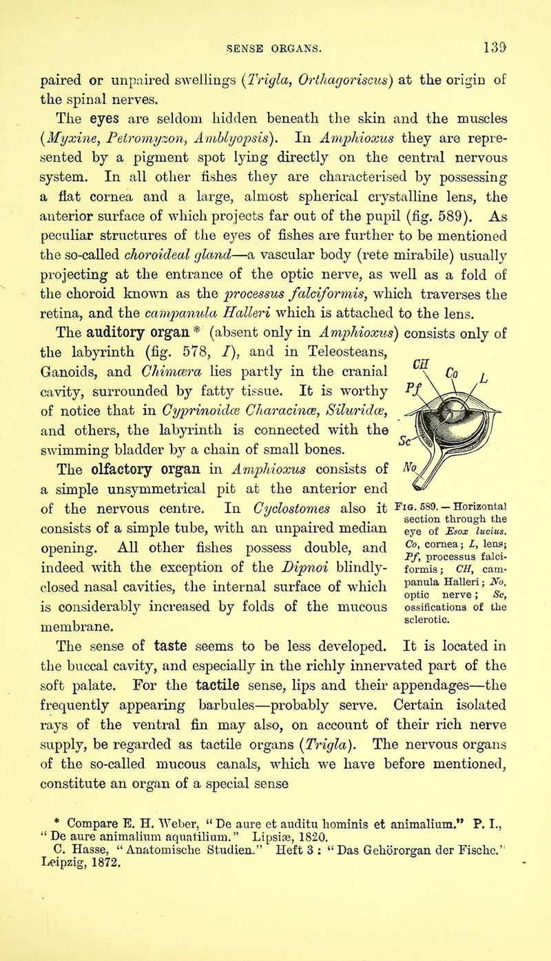 SENSE ORGANS. 130 paired or unpaired swellings (Trigla, Orthagoriscus) at the origin of the spinal nerves. The eyes are seldom hidden beneath the skin and the muscles (.Myxine, Pelromyzon, Amblyopsis). In Amphioxus they are repre- sented by a pigment spot lying directly on the central nervous system. In all other fishes they are characterised by possessing a flat cornea and a large, almost spherical crystalline lens, the anterior surface of which projects far out of the pupil (fig. 589). As peculiar structures of the eyes of fishes are further to be mentioned the so-called choroideal gland—a vascular body (rete mirabile) usually projecting at the entrance of the optic nerve, as well as a fold of the choroid known as the processus falciformis, which traverses the retina, and the campanula Halleri which is attached to the lens. The auditory organ * (absent only in Amphioxus) consists only of the labyrinth (fig. 578, I), and in Teleosteans, Ganoids, and Chimcera lies partly in the cranial cavity, surrounded by fatty tissue. It is worthy of notice that in Gyprinoidoe Characince, Siluridce, and others, the labyrinth is connected with the swimming bladder by a chain of small bones. The olfactory organ in Amphioxus consists of a simple unsymmetrical pit at the anterior end of the nervous centre. In Cyclostomes also it Fig- 589. — Horizontal ' . i , , . section through the consists ol a simple tube, with an unpaired median opening. All other fishes possess double, and indeed with the exception of the Dipnoi blindly- closed nasal cavities, the internal surface of which is considerably increased by folds of the mucous membrane. The sense of taste seems to be less developed, the buccal cavity, and especially in the richly innervated part of the soft palate. For the tactile sense, lips and their appendages—the frequently appearing barbules—probably serve. Certain isolated rays of the ventral fin may also, on account of their rich nerve supply, be regarded as tactile organs {Trigla). The nervous organs of the so-called mucous canals, which we have before mentioned, constitute an organ of a special sense eye of Esox lucius. Co, cornea; L, lens; Pf, processus falci- formis; CH, cam- panula Halleri; No, optic nerve ; Sc, ossifications of the sclerotic. It is located in * Compare E. H. Weber, “ De aure et auditu hominis et animalium.” P. I., “ De aure animalium aquatilium.” Lipsise, 1820. C. Hasse, “Anatomische Studien.” Heft 3 : “Das Gehörorgan der Fische.” Leipzig, 1872.
