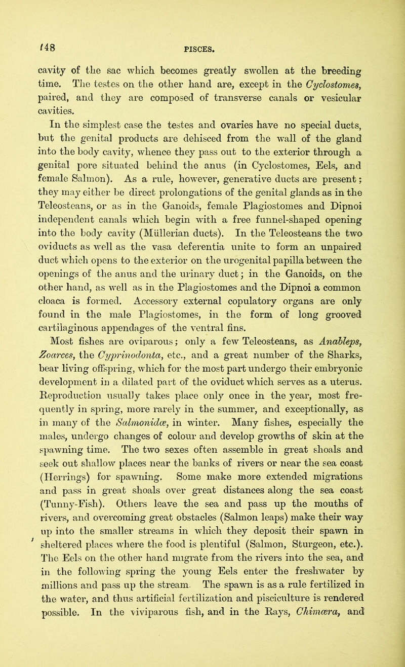 US cavity of tlie sac which becomes greatly swollen at the breeding time. The testes on the other hand are, except in the Cyclostomes, paired, and they are composed of transverse canals or vesicular cavities. In the simplest case the testes and ovaries have no special ducts, but the genital products are dehisced from the wall of the gland into the body cavity, whence they pass out to the exterior through a genital pore situated behind the anus (in Cyclostomes, Eels, and female Salmon). As a rule, however, generative ducts are present; they may either be direct prolongations of the genital glands as in the Teleosteans, or as in the Ganoids, female Plagiostomes and Dipnoi independent canals which begin with a free funnel-shaped opening into the body cavity (Miillerian ducts). In the Teleosteans the two oviducts as well as the vasa deferentia unite to form an unpaired duct which opens to the exterior on the urogenital papilla between the openings of the anus and the urinary duct; in the Ganoids, on the other hand, as well as in the Plagiostomes and the Dipnoi a common cloaca is formed. Accessory external copulatory organs are only found in the male Plagiostomes, in the form of long grooved cartilaginous appendages of the ventral fins. Most fishes are oviparous; only a few Teleosteans, as Andbleps, Zoarces, the Gyprinodonta, etc., and a great number of the Sharks, bear living offspring, which for the most part undergo their embryonic development in a dilated part of the oviduct which serves as a uterus. Reproduction usually takes place only once in the year, most fre- quently in spring, more rarely in the summer, and exceptionally, as in many of the Salmonidce, in winter. Many fishes, especially the males, undergo changes of colour and develop growths of skin at the spawning time. The two sexes often assemble in great shoals and seek out shallow places near the banks of rivers or near the sea coast (Herrings) for spawning. Some make more extended migrations and pass in great shoals over great distances along the sea coast (Tunny-Fish). Others leave the sea and pass up the mouths of rivers, and overcoming great obstacles (Salmon leaps) make their way up into the smaller streams in which they deposit their spawn in ’ sheltered places where the food is plentiful (Salmon, Sturgeon, etc.). The Eels on the other hand migrate from the rivers into the sea, and in the following spring the young Eels enter the freshwater by millions and pass up the stream, The spawn is as a rule fertilized in the water, and thus artificial fertilization and pisciculture is rendered possible. In the viviparous fish, and in the Rays, Chimcera, and