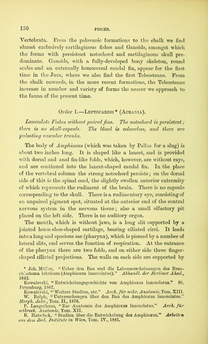 Vertebrata. From the palaeozoic formations to the chalk we find almost exclusively cartilaginous fishes and Ganoids, amongst which the forms with persistent notochord and cartilaginous skull pre- dominate. Ganoids, with a fully-developed bony skeleton, round scales and an externally homocercal caudal fin, appear for the first time in the Jura, where we also find the first Teleosteans. From the chalk onwards, in the more recent formations, the Teleosteans increase in number and variety of forms the nearer we approach to the fauna of the present time. Order 1.—Leptocardii* (Acrania). Lanceolate Fishes without paired fins. The notochord is persistent; there is no skull-capsule. The blood is colourless, and there are pulsating vascular trunks. The body of Amphioxus (which was taken by Pallas for a slug) is about two inches long. It is shaped like a lancet, and is provided writh dorsal and anal fin-like folds, which, however, are without rays, and are continued into the lancet-shaped caudal fin. In the place of the vertebral column the strong notochord persists; on the dorsal side of this is the spinal cord, the slightly swollen anterior extremity of which represents the rudiment of the brain. There is no capsule corresponding to the skull. There is a rudimentary eye, consisting of an unpaired pigment spot, situated at the anterior end of the central nervous system in the nervous tissue; also a small olfactory pit placed on the left side. There is no auditory organ. The mouth, which is without jaws, is a long slit supported by a jointed horse-shoe-shaped cartilage, bearing ciliated cirri. It leads into a long and spacious sac (pharynx), which is pierced by a number of lateral slits, and serves the function of respiration. At the entrance of the pharynx there are two folds, and on either side three finger- shaped ciliated projections. The walls on each side are supported by * Joh. Müller, “ Ueber den Bau und die Lebenserscheinungen des Bran- cb.'.ostoma lubricum (Amphioxus lanceolatus).” Abhandl. der Berliner Akad., 1842. Kowalevski, “ Entwickelungsgeschichte von Amphioxus lanceolatus.” St. Petersburg, 1867. Kowalevski, “Weitere Studien, etc.” Arch, für mikr. Anatomie, Tom. XIII. W. Eolph, “ Untersuchungen über den Bau des Amphioxus lanceolatus.” Morph. Jahr., Tom. II., 1876. P. Langerhans, “Zur Anatomie des Amphioxus lanceolatus.” Arch, für mihrosk. Anatomie, Tom. XII. B. Hatschek, “ Studien über die Entwickelung des Amphioxus.” Arbeiten am dem Zool. Institute in Wien, Tom. IV., 1881.
