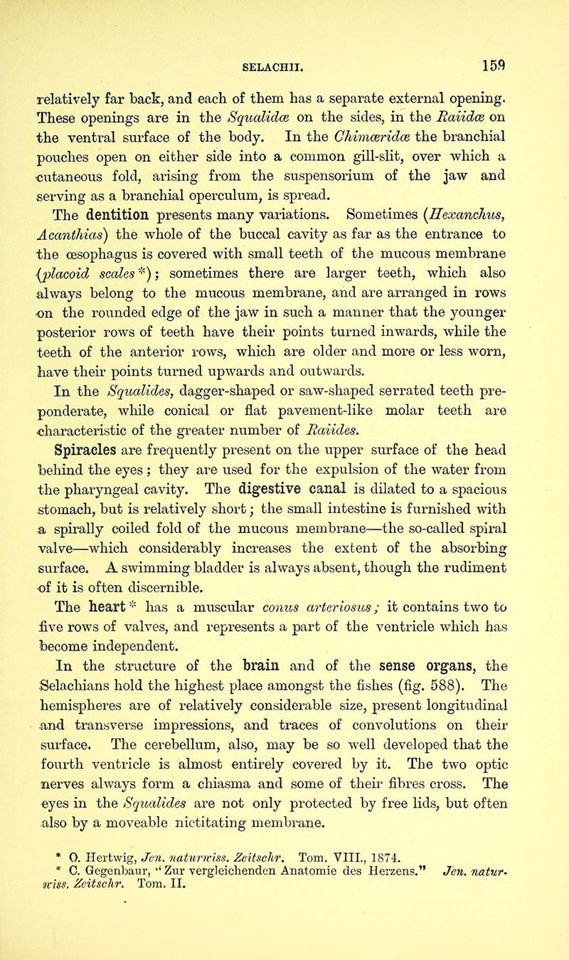 relatively far back, and each of them has a separate external opening. These openings are in the Squalidce on the sides, in the Raiidce on the ventral surface of the body. In the Chimceridce the branchial pouches open on either side into a common gill-slit, over which a ■cutaneous fold, arising from the Suspensorium of the jaw and serving as a branchial operculum, is spread. The dentition presents many variations. Sometimes (Hexanchus, Acanthias) the whole of the buccal cavity as far as the entrance to the oesophagus is covered with small teeth of the mucous membrane (placoid scales *); sometimes there are larger teeth, which also always belong to the mucous membrane, and are arranged in rows on the rounded edge of the jaw in such a manner that the younger posterior rows of teeth have their points turned inwards, while the teeth of the anterior rows, which are older and more or less worn, have their points turned upwards and outwards. In the Squalides, dagger-shaped or saw-shaped serrated teeth pre- ponderate, while conical or flat pavement-like molar teeth are characteristic of the greater number of Raiides. Spiracles are frequently present on the upper surface of the head behind the eyes; they are used for the expulsion of the water from the pharyngeal cavity. The digestive canal is dilated to a spacious stomach, but is relatively short; the small intestine is furnished with a spirally coiled fold of the mucous membrane—the so-called spiral valve—which considerably increases the extent of the absorbing surface. A swimming bladder is always absent, though the rudiment of it is often discernible. The heart * has a muscular conus arteriosus; it contains two to flve rows of valves, and represents a part of the ventricle which has become independent. In the structure of the brain and of the sense organs, the Selachians hold the highest place amongst the fishes (fig. 588). The hemispheres are of relatively considerable size, present longitudinal and transverse impressions, and traces of convolutions on their surface. The cerebellum, also, may be so well developed that the fourth ventricle is almost entirely covered by it. The two optic nerves always form a chiasma and some of their fibres cross. The eyes in the Squalides are not only protected by free lids, but often also by a moveable nictitating membrane. * 0. Hertwig, Jen. naturwiss. Zeitschr. Tom. VIIL, 1874. * C. Gegenbaur, Zur vergleichenden Anatomie des Herzens.” Jen. natur- mss. Zeitschr. Tom. II.