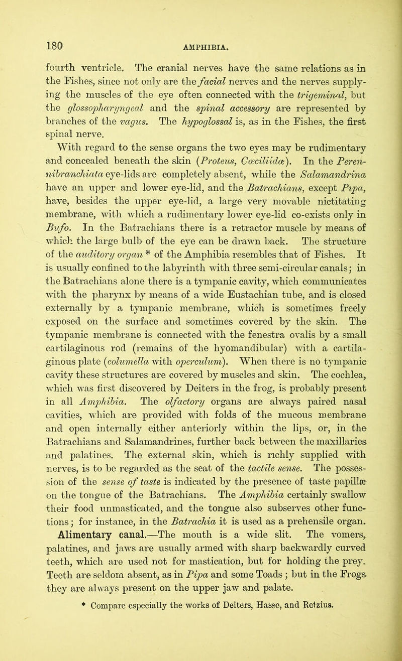fourth ventricle. The cranial nerves have the same relations as in the Fishes, since not only are the facial nerves and the nerves supply- ing the muscles of the eye often connected with the trigemirtsd, but the glossopharyngeal and the spinal accessory are represented by branches of the vagus. The hypoglossal is, as in the Fishes, the first spinal nerve. With regard to the sense organs the two eyes may be rudimentary and concealed beneath the skin [Proteus, Coeciliidoi). In the Peren- nibranchiata eye-lids are completely absent, while the Salamandrina have an upper and lower eye-lid, and the Batrachians, except Pipa, have, besides the upper eye-lid, a large very movable nictitating membrane, with which a rudimentary lower eye-lid co-exists only in Bufo. In the Batrachians there is a retractor muscle by means of which the large bulb of the eye can be drawn back. The structure of the auditory organ * of the Amphibia resembles that of Fishes. It is usually confined to the labyrinth with three semi-circular canals; in the Batrachians alone there is a tympanic cavity, which communicates with the pharynx by means of a wide Eustachian tube, and is closed externally by a tympanic membrane, which is sometimes freely exposed on the surface and sometimes covered by the skin. The tympanic membrane is connected with the fenestra ovalis by a small cartilaginous rod (remains of the hyomandibular) with a cartila- ginous plate (columella with operculum). When there is no tympanic cavity these structures are covered by muscles and skin. The cochlea, which was first discovered by Deiters in the frog, is probably present in all Amphibia. The olfactory organs are always paired nasal cavities, which are provided with folds of the mucous membrane and open internally either anteriorly within the lips, or, in the Batrachians and Salamandrines, further back between the maxillaries and palatines. The external skin, which is richly supplied with nerves, is to be regarded as the seat of the tactile sense. The posses- sion of the sense of taste is indicated by the presence of taste papillae' on the tongue of the Batrachians. The Amphibia certainly swallow their food unmasticated, and the tongue also subserves other func- tions ; for instance, in the Batrachia it is used as a prehensile organ. Alimentary canal.—The mouth is a wide slit. The vomers, palatines, and jaws are usually armed with sharp backwardly curved teeth, which are used not for mastication, but for holding the prey. Teeth are seldom absent, as in Pipa and some Toads; but in the Frogs they are always present on the upper jaw and palate. * Compare especially the works of Deiters, Hasse, and Rctzius.