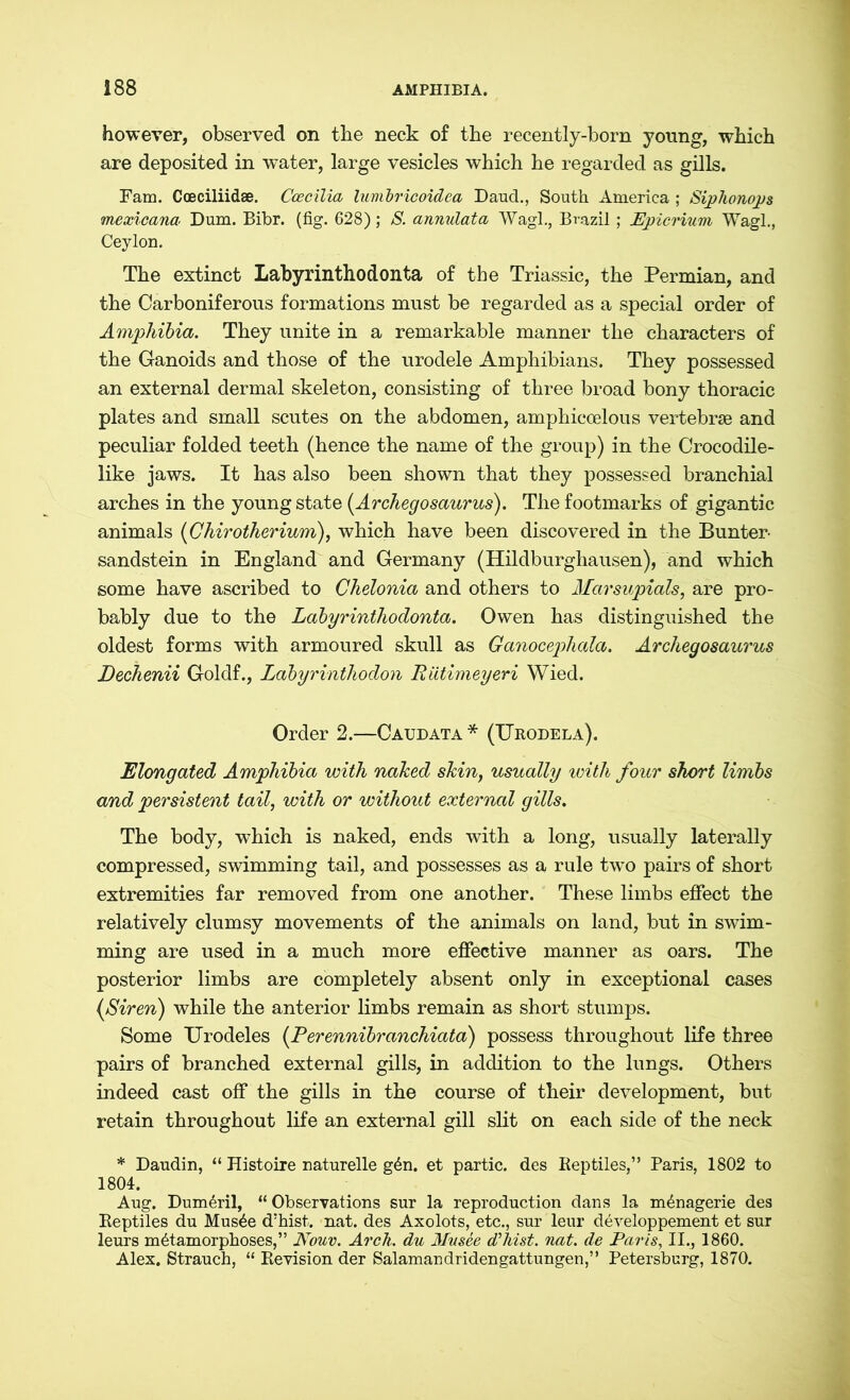 however, observed on the neck of the recently-born young, which are deposited in water, large vesicles which he regarded as gills. Fam. Coeciliidse. Ccecilia lunibricoidea Daud., South America ; Siphonops mexicana Dum. Bibr. (fig. 628); S. annulata Wagl., Brazil; Epicrium Wagl., Ceylon. The extinct Labyrinthodonta of the Triassic, the Permian, and the Carboniferous formations must be regarded as a special order of Amphibia. They unite in a remarkable manner the characters of the Ganoids and those of the urodele Amphibians. They possessed an external dermal skeleton, consisting of three broad bony thoracic plates and small scutes on the abdomen, amphicoelous vertebrae and peculiar folded teeth (hence the name of the group) in the Crocodile- like jaws. It has also been shown that they possessed branchial arches in the young state (Archegosaurus). The footmarks of gigantic animals (Chirotherium), which have been discovered in the Bunter- sandstein in England and Germany (Hildburghausen), and which some have ascribed to Chelonia and others to Marsupials, are pro- bably due to the Labyrinthodonta. Owen has distinguished the oldest forms with armoured skull as Ganocephala. Archegosaurus Dechenii Goldf., Labyrinthodon Rütimeyeri Wied. Order 2.—Caudata* (Urodela). Elongated Amphibia with naked skin, usually with four short limbs and persistent tail, with or without external gills. The body, which is naked, ends with a long, usually laterally compressed, swimming tail, and possesses as a rule two pairs of short extremities far removed from one another. These limbs effect the relatively clumsy movements of the animals on land, but in swim- ming are used in a much more effective manner as oars. The posterior limbs are completely absent only in exceptional cases (Siren) while the anterior limbs remain as short stumps. Some TJrodeles (Perennibranchiata) possess throughout life three pairs of branched external gills, in addition to the lungs. Others indeed cast off the gills in the course of their development, but retain throughout life an external gill slit on each side of the neck * Daudin, “ Histoire naturelle g6n. et partic. des Keptiles,” Paris, 1802 to 1804. Aug. Dum&ril, “ Observations sur la reproduction dans la menagerie des Reptiles du Musde d’hist. nat. des Axolots, etc., sur leur d^veloppement et sur leurs metamorphoses,” Nouv. Arch, du Musee d’hist. nat. de Paris, II., 1860. Alex. Strauch, “ Revision der Salamandridengattungen,” Petersburg, 1870.