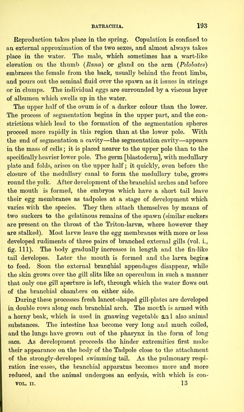 Reproduction takes place in the spring. Copulation is confined to an external approximation of the two sexes, and almost always takes place in the water. The male, which sometimes has a wart-like elevation on the thumb (Ranch) or gland on the arm (Pelobates) embraces the female from the back, usually behind the front limbs, and pours out the seminal fluid over the spawn as it issues in strings or in clumps. The individual eggs are surrounded by a viscous layer of albumen which swells up in the water. The upper half of the ovum is of a darker colour than the lower. The process of segmentation begins in the upper part, and the con- strictions which lead to the formation of the segmentation spheres proceed more rapidly in this region than at the lower pole. With the end of segmentation a cavity—the segmentation cavity—appears in the mass of cells; it is placed nearer to the upper pole than to the specifically heavier lower pole. The germ [blastoderm], with medullary plate and folds, arises on the upper half; it quickly, even before the closure of the medullary canal to form the medullary tube, grows round the yolk. After development of the branchial arches and before the mouth is formed, the embryos which have a short tail leave their egg membranes as tadpoles at a stage of development which varies with the species. They then attach themselves by means of two suckers to the gelatinous remains of the spawn (similar suckers are present on the throat of the Triton-larvae, where however they are stalked). Most larvae leave the egg membranes with more or less developed rudiments of three pairs of branched external gills (vol. i., fig. 111). The body gradually increases in length and the fin-like tail developes. Later the mouth is formed and the larva begins to feed. Soon the external branchial appendages disappear, while the skin grows over the gill slits like an operculum in such a manner that only one gill aperture is left, through which the water flows out of the branchial chambers on either side. During these processes fresh lancet-shaped gill-plates are developed in double rows along each branchial arch. The mouth is armed with a horny beak, which is used in gnawing vegetable an 1 also animal substances. The intestine has become very long and much coiled, and the lungs have grown out of the pharynx in the form of long sacs. As development proceeds the hinder extremities first make their appearance on the body of the Tadpole close to the attachment of the strongly-developed swimming tail. As the pulmonary respi- ration increases, the branchial apparatus becomes more and more reduced, and the animal undergoes an ecdysis, with which is con- VOL. II. 13