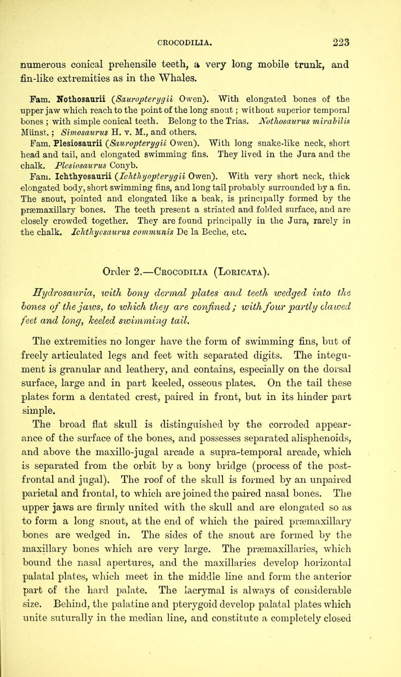 numerous conical prehensile teeth, a very long mobile trunk, and fin-like extremities as in the Whales. Fam. Nothosaurii (Sauropterygii Owen). With elongated bones of the upper jaw which reach to the point of the long snout; without superior temporal bones ; with simple conical teeth. Belong to the Trias. Nothosaurus mirabilis Miinst.; Simosaurus H. v. M., and others. Fam. Plesiosaurii (Sauropterygii Owen). With long snake-like neck, short head and tail, and elongated swimming fins. They lived in the Jura and the chalk. Plesiosaurus Conyb. Fam. Ichthyosaurii (Ichtliyopterygii Owen). With very short neck, thick elongated body, short swimming fins, and long tail probably surrounded by a fin. The snout, pointed and elongated like a beak, is principally formed by the premaxillary bones. The teeth present a striated and folded surface, and are closely crowded together. They are found principally in the Jura, rarely in the chalk. Ichthyosaurus communis De la Beche, etc. Order 2.—Crocodilia (Loricata). Hydrosauria, with bony dermal plates and teeth wedged into the bones of the jaws, to which they are confined; with four partly clawed feet and long, heeled swimming tail. The extremities no longer have the form of swimming fins, but of freely articulated legs and feet with separated digits. The integu- ment is granular and leathery, and contains, especially on the dorsal surface, large and in part keeled, osseous plates. On the tail these plates form a dentated crest, paired in front, but in its hinder part simple. The broad flat skull is distinguished by the corroded appear- ance of the surface of the bones, and possesses separated alisphenoids, and above the maxillo-jugal arcade a supra-temporal arcade, which is separated from the orbit by a bony bridge (process of the post- frontal and jugal). The roof of the skull is formed by an unpaired parietal and frontal, to which are joined the paired nasal bones. The upper jaws are firmly united with the skull and are elongated so as to form a long snout, at the end of which the paired praemaxillary bones are wedged in. The sides of the snout are formed by the maxillary bones which are very large. The prsemaxillaries, which bound the nasal apertures, and the maxillaries develop horizontal palatal plates, which meet in the middle line and form the anterior part of the hard palate. The iaerymal is always of considerable size. Behind, the palatine and pterygoid develop palatal plates which unite suturally in the median line, and constitute a completely closed