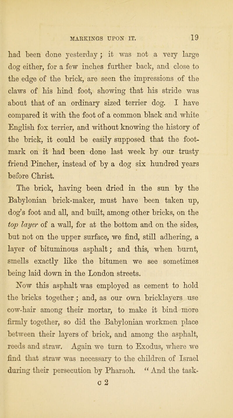 had been done yesterday; it was not a very large dog either, for a few inches further hack, and close to the edge of the brick, are seen the impressions of the claws of his hind foot, showing that his stride was about that of an ordinary sized terrier dog. I have compared it with the foot of a common black and white English fox terrier, and without knowing the history of the brick, it could be easily supposed that the foot- mark on it had been done last week by our trusty friend Pincher, instead of by a dog six hundred years before Christ. The brick, having been dried in the sun by the Babylonian brick-maker, must have been taken up, dog’s foot and all, and built, among other bricks, on the top layer of a wall, for at the bottom and on the sides, but not on the upper surface, we find, still adhering, a layer of bituminous asphalt; and this, when burnt, smells exactly like the bitumen we see sometimes being laid down in the London streets. blow this asphalt was employed as cement to hold the bricks together; and, as our own bricklayers use cow-hair among their mortar, to make it bind more firmly together, so did the Babylonian workmen place between their layers of brick, and among the asphalt, reeds and straw. Again we turn to Exodus, where we find that straw was necessary to the children of Israel during their persecution by Pharaoh. “ And the task- o 2