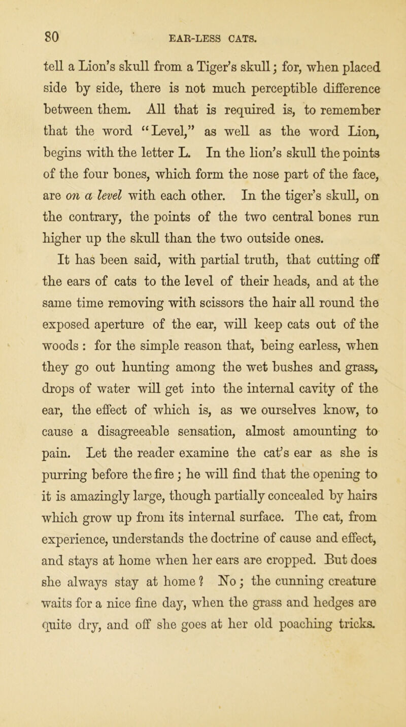 tell a Lion’s skull from a Tiger’s skull; for, when placed side by side, there is not much perceptible difference between them. All that is required is, to remember that the word “Level,” as well as the word Lion, begins with the letter L. In the lion’s skull the points of the four bones, which form the nose part of the face, are on a level with each other. In the tiger’s skull, on the contrary, the points of the two central bones run higher up the skull than the two outside ones. It has been said, with partial truth, that cutting off the ears of cats to the level of their heads, and at the same time removing with scissors the hair all round the exposed aperture of the ear, will keep cats out of the woods : for the simple reason that, being earless, when they go out hunting among the wet bushes and grass, drops of water will get into the internal cavity of the ear, the effect of which is, as we ourselves know, to cause a disagreeable sensation, almost amounting to pain. Let the reader examine the cat’s ear as she is purring before the fire ; he will find that the opening to it is amazingly large, though partially concealed by hairs which grow up from its internal surface. The cat, from experience, understands the doctrine of cause and effect, and stays at home when her ears are cropped. But does she always stay at home 1 Ho ; the cunning creature waits for a nice fine day, when the grass and hedges are quite dry, and off she goes at her old poaching tricks.