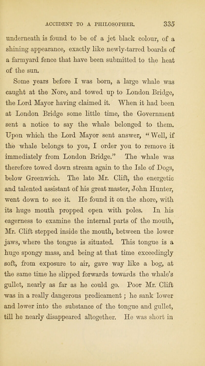 underneath is found to be of a jet black colour, of a shining appearance, exactly like newly-tarred boards of a farmyard fence that have been submitted to the beat of the sum Some years before I was born, a large whale was caught at the ISTore, and towed up to London Bridge, the Lord Mayor having claimed it. When it bad been at London Bridge some little time, the Government sent a notice to say the whale belonged to them. Upon which the Lord Mayor sent answer, “ Well, if the whale belongs to you, I order you to remove it immediately from London Bridge/’ The whale was therefore towed down stream again to the Isle of Dogs, below Greenwich. The late Mr. Clift, the energetic and talented assistant of bis great master, John Hunter, went down to see it. He found it on the shore, with its huge mouth propped open with poles. In bis eagerness to examine the internal parts of the mouth, Mr. Clift stepped inside the mouth, between the lower jaws, where the tongue is situated. This tongue is a huge spongy mass, and being at that time exceedingly soft, from exposure to air, gave way like a hog, at the same time he slipped forwards towards the whale’s gullet, nearly as far as he could go. Poor Mr. Clift was in a really dangerous predicament; he sank lower and lower into the substance of the tongue and gullet, till he nearly disappeared altogether. He was short in