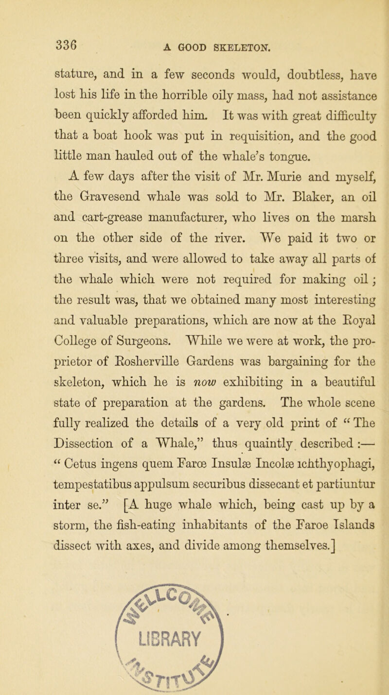A GOOD SKELETON. stature, and in a few seconds would, doubtless, have lost his life in the horrible oily mass, had not assistance been quickly afforded him. It was with great difficulty that a boat hook was put in requisition, and the good little man hauled out of the whale’s tongue. A few days after the visit of Mr. Murie and myself, the Gravesend whale was sold to Mr. Blaker, an oil and cart-grease manufacturer, who lives on the marsh on the other side of the river. We paid it two or three visits, and were allowed to take away all parts of the whale which were not required for making oil; the result was, that we obtained many most interesting and valuable preparations, which are now at the Boyal College of Surgeons. While we were at work, the pro- prietor of Bosherville Gardens was bargaining for the skeleton, which he is now exhibiting in a beautiful state of preparation at the gardens. The whole scene fully realized the details of a very old print of “ The Dissection of a Whale,” thus quaintly described :— “ Cetus ingens quern Faroe Insulae Incolae ichthyophagi, tempestatibus appulsum securibus dissecant et partiuntur inter se.” [A huge whale which, being cast up by a storm, the fish-eating inhabitants of the Faroe Islands dissect with axes, and divide among themselves.]
