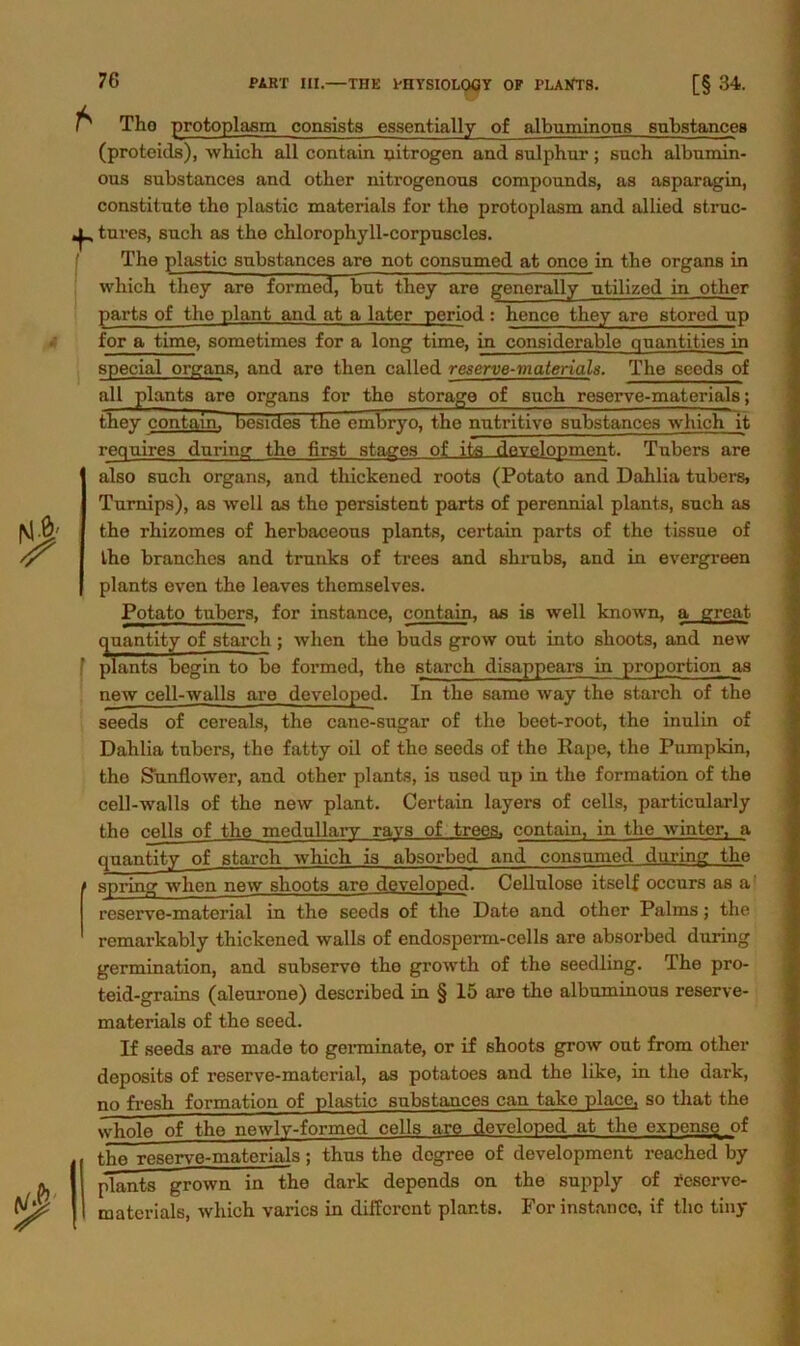 * f Tho protoplasm consists essentially of albuminons substances (proteids), which all contain nitrogen and sulphur ; such albumin- ous substances and otber nitrogenons compounds, as asparagin, constitnte the plastic materials for the protoplasm and allied struc- tnres, such as the chlorophyll-corpnscles. The plastic snbstances are not consumed at once in the Organs in which they are formed, bnt they are generally utilized in other parts of the plant and at a later period : hcnce tliey are storcd up for a time, sometimes for a long time, in considerable cmantities in special organs, and are then called reserve-materials. The seeds of all plants are Organs for the storage of such reserve-materials; they contain. besides the embrvo. the nutritive snbstances which it requires during the first stages of its development. Tubers are also such organs, and thickened roots (Potato and Dahlia tubers, Turnips), as well as the persistent parts of perennial plants, such as the rhizomes of herbaceous plants, certain parts of the tissue of the branches and trunks of trees and shrubs, and in evergreen plants even the leaves themselves. Potato tubers, for instance, contain, as is well known, a great quantity of starch ; when the buds grow out into shoots, and new plants begin to be formed, the starch disappears in Proportion as new cell-walls are developed. In the same way the starch of the seeds of cereals, the cane-sugar of the beet-root, the inulin of Dahlia tubers, the fatty oil of the seeds of the Rape, the Pumpkin, tho Sunflower, and other plants, is used up in the formation of the cell-walls of the new plant. Certain layers of cells, particularly the cells of the medullarv ravs of trees. contain, in the winter, a quantity of starch which is absorbed and consumed during the spring when new shoots are developed. Cellulose itself occurs as a reserve-material in the seeds of the Dato and other Palms; the remarkably thickened walls of endosperm-cells are absorbed during germination, and subservo tho growth of the seedling. The pro- teid-grains (aleurone) described in § 15 are tho albuminous reserve- materials of the seed. If seeds are made to germinate, or if shoots grow out from other deposits of reserve-material, as potatoes and the like, in the dark, no fresh formation of plastic substances can take place, so tliat the whole of the newly-formed cells are developed at the expense of the reserve-materials; thus the degree of development reached by plants grown in the dark depends on the supply of reserve- materials, which varics in different plants. For instance, if tho tiny