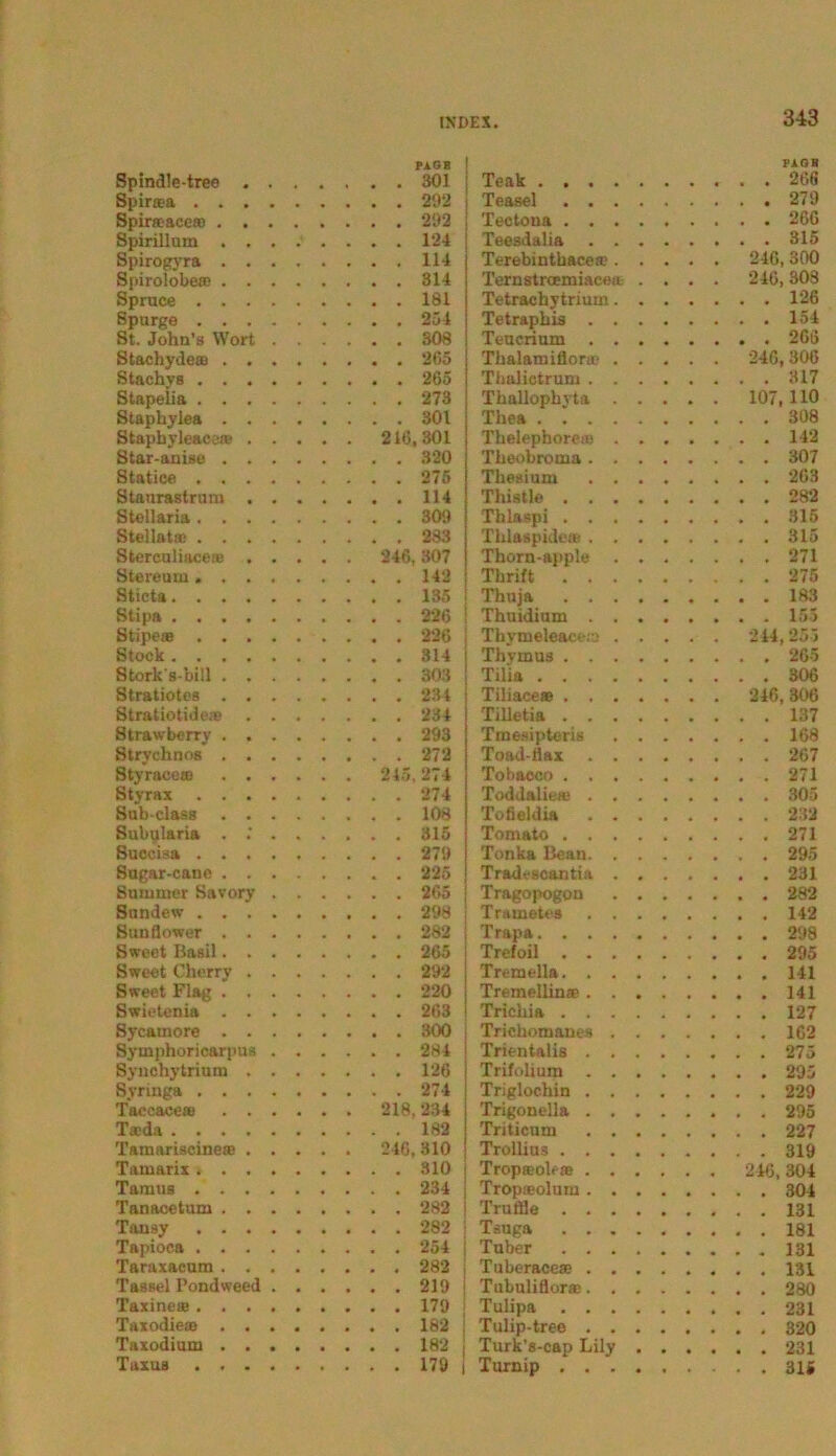 Spindle-tree . . . PAG* ... 301 Teak PAGB . . 206 Spirsa ... 292 Teasel .... . . 279 Spirmace® . . . 292 Tectona .... . . 266 Spirillum .... . . . 124 Teesdalia . . . . . 315 Spirogyra .... ... 114 Terebintbace®. . 246, 300 Spirolobe® .... ... 314 Ternstroemiaceu . • • 246, 303 Spruce ... 181 Tetrachytrium. . . . 126 ßpurge . . . 234 Tetraphis . . . . . 154 St. John’s Wort . . . . . 308 Teucrium . . . . . 266 Stachyde® .... . . . 265 Thalamiflor® . . 246,306 Stachvs ... 265 Thaliotrum . . . Stapelia ... 273 Thallopbyta . . 107, HO Staphylea .... ... 301 Thea . . 308 Staphyleace® . . . . 216,301 Thelephore® . . . . 142 Star-anise .... Theobroma . . . . . 307 Statiee ... 275 Thesium . . . . . 263 Staurastrum . . . Thistle .... . . 282 Stellaria ... 309 Thlaspi .... Stellat® . . . 283 Thlaspide® . . . . . 315 Stereuliace® . . . Thorn-apple . . . . 271 Stereum..... Tbrift .... . . 275 Sticta Thuja .... Stipa Thuidium . . . Stipe® . . . 226 Thymeleace.-o . . 244, 255 Stock Thymus .... . . 265 Stork's-bill .... Tilia . . 306 Stratiotcs .... Tiliace® .... 246, 306 Stratiotide® . . . Tilletia .... . . 137 Strawberrv .... Tmesipteris . . . . 168 Strychnos .... Toad-flax . . . . . 267 Styrace® .... . 245,274 Tobaoco .... . . 271 Styrax . . . 274 Toddalie® . . . . . 305 Suli-class .... Tcficldia . . . Subularia . . Tomato .... . . 271 Succi-a . . . 279 Tonka Beau. . . . . 295 Sagar-cano .... Tradfscantia . . Summer Savory . . . . . 265 Tragopogon . . Sundew Trametes . . . . . 142 Sunflower .... Trapa . . 298 Sweet Basil.... Trefoil .... Sweet Cherry . . . . . . 292 Tremella. . . . Sweet Flag .... Tremellin® . . . Swietenia .... Trichia .... . . 127 Sycamore .... ... 300 Trichomanes . . . . 162 Symphoricarpus . . ... 284 Trientalis . . . Synchytrium . . . . . . 126 Trifolium . . . Syringa Triglochin . . . Taccace® .... Trigonelia . . . Tacda ...... Triticnm . . . Tamoriscine® . . . Trollius .... Tamarix Trop®ol<® . . . 246, 304 Tamus ... 234 Trop*olum. . . Tanacetum .... Truflle .... Tansy Tanga .... Tapioca ... 254 Tuber .... Taraxacum Tuberace® . . . Tassel Pondweed . . Tubuliflor®. . . l’axine® Tulipa .... Taxodie® Tulip-tree . . . Taxodium Turk’s-cap Lily . Taxus ...... Turnip ....