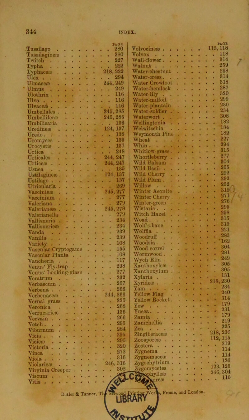 Tussilago PAQR Tussilaginete Twitch Typha . . 222 Typhacero 218,222 IJlex •. . . . 294 Ulroacero 244, 249 Ulmus . . 249 Ulotlirix . . 116 Ulva . . 116 Ulvacero . . 116 Umbellales 245, 285 Umbellifene 245,285 Umbilicaria . . 136 Uredinero 124,137 Uredo . . 138 Uromyces . . 139 Urocystis Urtica . . 248 Urticales 244, 247 Urtieero 244, 247 Usnea . . 135 Ustilaginero 124,137 Ustilago Utrioularia . . 269 Vacciniero 245,277 Vaccinium Valeriana Valerianero 215, 278 Valerianeil a . . 279 Vallisneria Vallisneriero . . 234 Vanda . . 239 Vanilla Variety . . 108 Vascular Cryptogams . . . . 155 Vascular Plauts .... . . 108 Vaucheria Venus’ Fly-trap .... . . 298 Venus’ Looking-glass . . . . 277 Veratrum Verbascum . . 267 Verbena Verbenaeere 244, 266 Vernal grass . . 225 Veronica . . 268 Verrucariero . . 136 Vervain . . 266 Vetch . . 295 Viburnum Vicia . . 295 Viciero . . 295 Victoria . . 320 Vinca . . 272 Viola . . 316 Violariero 216, 316 Virginia Öreeper .... Entlcr & Tanner, Th PAOH Volvocinero ...... 113,118 Volvos 118 Wall-flower 314 Walnut 259 Water-chestnut 298 Water-cress 314 Water Crowfoot 318 Water-hemlock 287 Water-lily 320 Water-milfoil 299 Water-plantain 230 Water-soldier . 234 Waterwort 308 Wellingtonia 182 Welwitschia 184 Weymouth I’ine 182 Wheat 227 Whin 294 Wliitlow-grass 315 Whortleberry 277 Wild Balsam 304 WildBasil 265 Wild Cherry 292 Wild Plum 292 Willow 252 Winter Aconite 319 Winter Cherry 271 Winter-green 276 Wistaria 295 Witch Hazel 298 Woad 315 Wolf’s-bane 319 Wolffia 221 Woodruff .283 Woodsia 162 Wood-sorrel 304 Worin wood 281 WychElm 249 Xantlioxylere 305 Xanthoxylum 3y5 Xylaria ■ *31 Xyridero 218, 230 Yam 234 Yellow Flag Yellow Bocket 314 Yew 179 Yucca. ft uMV 231 Zamia *79 Zanicbejlia “U; 225 Zingiberacere 218,236 Zoosporeie H2 Zostera Zygnema Zygnemacere Zygochytrium Zygomycetes ihyllero press ,Wor%. Fromc, and London. 115 219 . 114 . 114 . 126 123,125 246, 304 . 110