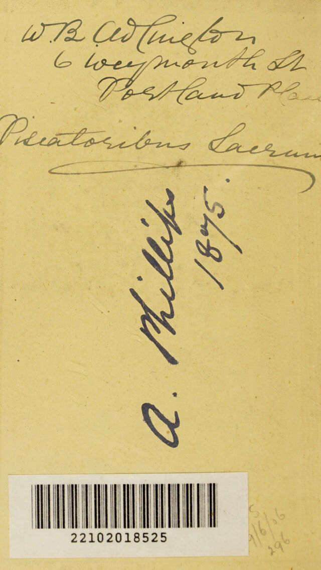 digitised image 2