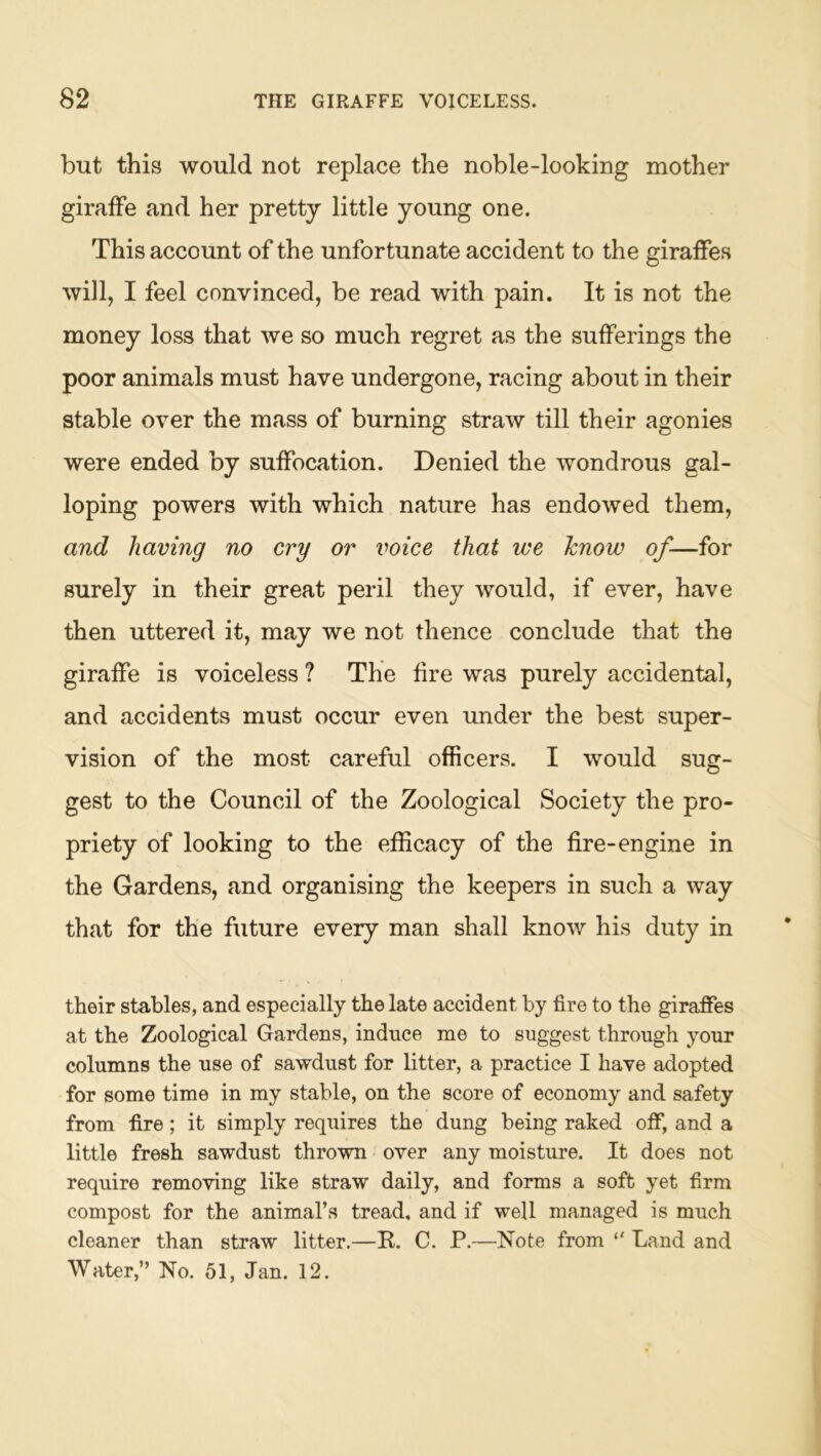 but this would not replace the noble-looking mother giraffe and her pretty little young one. This account of the unfortunate accident to the giraffes will, I feel convinced, be read with pain. It is not the money loss that we so much regret as the sufferings the poor animals must have undergone, racing about in their stable over the mass of burning straw till their agonies were ended by suffocation. Denied the wondrous gal- loping powers with which nature has endowed them, and having no cry or imce that we know of-—for surely in their great peril they would, if ever, have then uttered it, may we not thence conclude that the giraffe is voiceless ? The fire was purely accidental, and accidents must occur even under the best super- vision of the most careful officers. I would sug- gest to the Council of the Zoological Society the pro- priety of looking to the efficacy of the fire-engine in the Gardens, and organising the keepers in such a way that for the future every man shall know his duty in their stables, and especially the late accident by fire to the giraffes at the Zoological Gardens, induce me to suggest through your columns the use of sawdust for litter, a practice I have adopted for some time in my stable, on the score of economy and safety from fire; it simply requires the dung being raked off, and a little fresh sawdust thrown over any moisture. It does not require removing like straw daily, and forms a soft yet firm compost for the animal’s tread, and if well managed is much cleaner than straw litter.—R. C. P.—Note from “ Land and Water,” No. 51, Jan. 12.