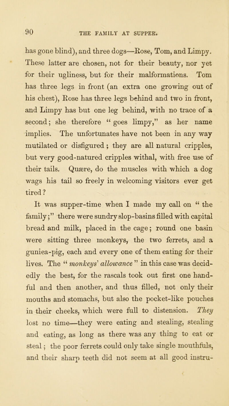 THE FAMILY AT SUPPER. has gone blind), and three dogs—Rose, Tom, and Limpy. These latter are chosen, not for their beauty, nor yet for their ugliness, but for their malformations. Tom has three legs in front (an extra one growing out of his chest). Rose has three legs behind and two in front, and Limpy has but one leg behind, with no trace of a second; she therefore “ goes limpy,” as her name implies. The unfortunates have not been in any way mutilated or disfigured; they are all natural cripples, but very good-natured cripples withal, with free use of their tails. Quaere, do the muscles with which a dog wags his tail so freely in welcoming visitors ever get tired ? It was supper-time when I made my call on “ the familythere were sundry slop-basins fiUed with capital bread and milk, placed in the cage; round one basin were sitting three monkeys, the two ferrets, and a guniea-pig, each and every one of them eating for their lives. The “ monkeys' allowance ” in this case was decid- edly the best, for the rascals took out first one hand- ful and then another, and thus filled, not only their mouths and stomachs, but also the pocket-like pouches in their cheeks, which were full to distension. They lost no time—they were eating and stealing, stealing and eating, as long as there was any thing to eat or steal; the poor ferrets could only take single mouthfuls, and their sharp teeth did not seem at all good instru-