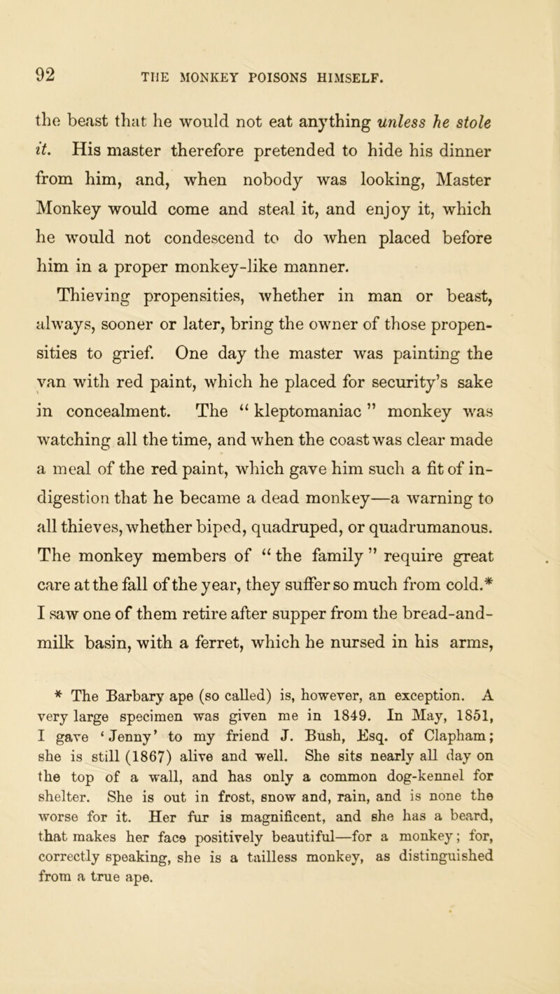 the beast that he would not eat anything unless he stole it. His master therefore pretended to hide his dinner from him, and, when nobody was looking. Master Monkey would come and steal it, and enjoy it, which he would not condescend to do when placed before him in a proper monkey-like manner. Thieving propensities, whether in man or beast, always, sooner or later, bring the owner of those propen- sities to grief. One day the master was painting the van with red paint, which he placed for security’s sake in concealment. The “ kleptomaniac ” monkey was watching all the time, and when the coast was clear made a meal of the red paint, which gave him such a fit of in- digestion that he became a dead monkey—a warning to all thieves, whether biped, quadruped, or quadrumanous. The monkey members of “ the family ” require great care at the fall of the year, they sufier so much from cold.* I saw one of them retire after supper from the bread-and- milk basin, with a ferret, which he nursed in his arms, * The Barbary ape (so called) is, however, an exception. A very large specimen was given me in 1849. In May, 1851, I gave ‘Jenny’ to my friend J. Bush, Esq. of Clapham; she is still (1867) alive and well. She sits nearly all day on the top of a w'all, and has only a common dog-kennel for shelter. She is out in frost, snow and, rain, and is none the worse for it. Her fur is magnificent, and she has a beard, that makes her face positively beautiful—for a monkey; for, correctly speaking, she is a tailless monkey, as distinguished from a true ape.