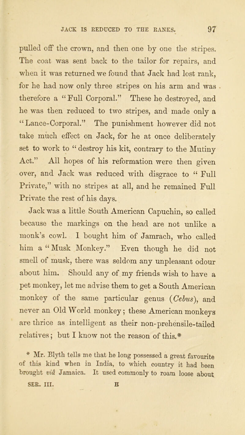 pulled oiF the crown, and then one by one the stripes. The coat was sent back to the tailor for repairs, and when it was returned we found that Jack had lost rank, for he had now only three stripes on his arm and was . therefore a “ Full Corporal.” These he destroyed, and he was then reduced to two stripes, and made only a “Lance-Corporal.” The punishment however did not take much elFect on Jack, for he at once deliberately set to work to “ destroy his kit, contrary to the Mutiny Act.” All hopes of his reformation were then given over, and Jack was reduced -with disgrace to “ Full Private,” with no stripes at all, and he remained Full Private the rest of his days. Jack was a little South American Capuchin, so called because the markings on the head are not unlike a monk’s cowl. 1 bought him of Jamrach, who called him a “ Musk Monkey.” Even though he did not smell of musk, there was seldom any unpleasant odour about him. Should any of my friends wish to have a pet monkey, let me advise them to get a South American monkey of the same particular genus (^Cebus)^ and never an Old World monkey; these American monkeys are thrice as intelligent as their non* prehensile-tailed relatives; but I know not the reason of this.* * Mr. Blyth tells me that he long possessed a great favourite of this kind when in India, to which country it had been brought vid Jamaica. It used commonly to roam loose about SER. III. H
