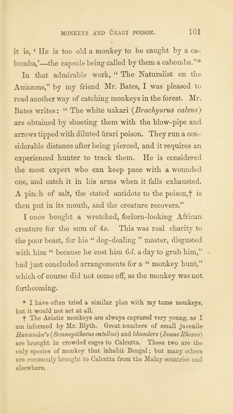 it is, ‘ He is too old a monkey to be caught by a ca- bomba,’—the capsule being called by them a cabomba.”'**^ In that admirable work, “ The Naturalist on the Amazons,” by my friend Mr. Bates, I was pleased to read another way of catching monkeys in the forest. Mr. Bates writes: “ The white uakari {Brachyurus calvus) are obtained by shooting them with the blow-pipe and arrows tipped with diluted urari poison. They run a con- siderable distance after being pierced, and it requires an experienced hunter to track them. He is considered the most expert who can keep pace with a wounded one, and catch it in his arms when it falls exhausted. A pinch of salt, the stated antidote to the poison,| is then put in its mouth, and the creature recovers.” I once bought a wretched, forlorn-looking Alrican creature for the sum of 4s. This was real charity to the poor beast, for his “ dog-dealing ” master, disgusted with him “ because he cost him Gt7. a day to grub him,” - had just concluded arrangements for a “ monkey hunt,” which of course did not come off, as the monkey was not forthcoming. * I have often tried a similar plan with my tame monkeys, but it would not act at all. f The Asiatic monkeys are always captured very young, as I am informed by Mr. Blyth. Great numbers of small juvenile Humc7ndn’s {Semnopithecus entellus) and bhunders {Inuus Bhesus) are brought in crowded cages to Calcutta. These two are the only species of monkey that inhabit Bengal; but many others are commonly brought to Calcutta from the Malay countries and elsewhere.