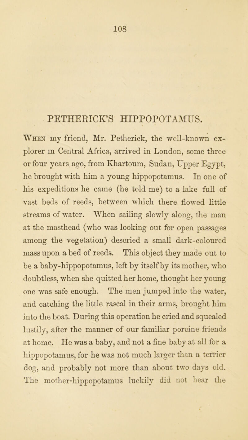 PETHERICK’S HIPPOPOTAMUS. When my friend, Mr. Petherick, the well-kno'vvn ex- plorer in Central Africa, arrived in London, some three or four years ago, from Khartoum, Sudan, Upper Egypt, he brought with him a young hippopotamus. In one of his expeditions he came (he told me) to a lake full of vast beds of reeds, between which there flowed little streams of water. When sailing slowly along, the man at the masthead (who was looking out for open passages among the vegetation) descried a small dark-coloured mass upon a bed of reeds. This object they made out to be a baby-hippopotamus, left by itself by its mother, who doubtless, when she quitted her home, thought her young one was safe enough. The men jumped into the water, and catching the little rascal in their arms, brought him into the boat. During this operation he cried and squealed lustily, after the manner of our familiar porcine friends at home. He was a baby, and not a fine baby at all for a hippopotamus, for he was not much larger than a terrier dog, and probably not more than about two days old. The mother-hippopotamus luckily did not hear the