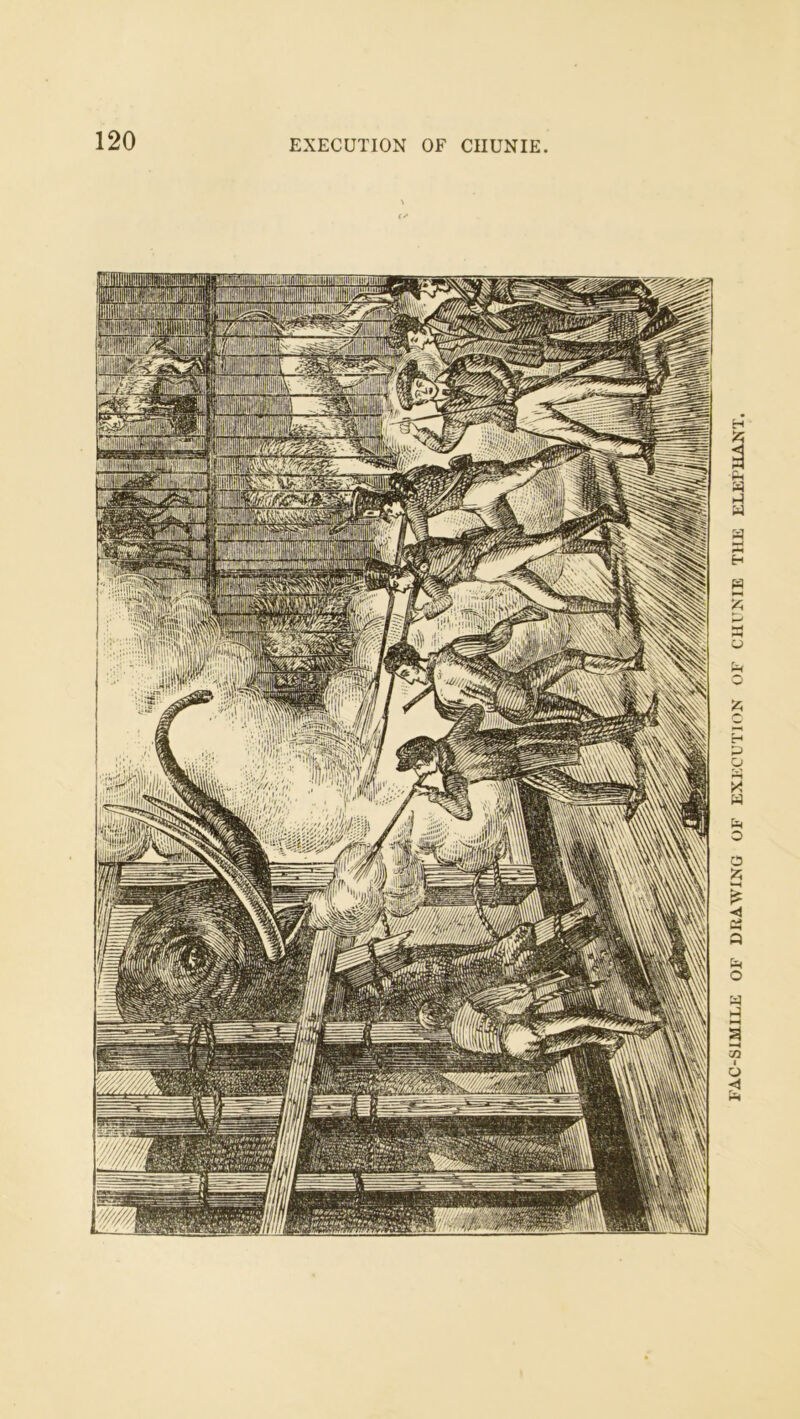 EXECUTION OF CIIUNIE FAC-SIMILE or DRAWING OF EXFCUTION OF tTIl'NlE THE ELEF