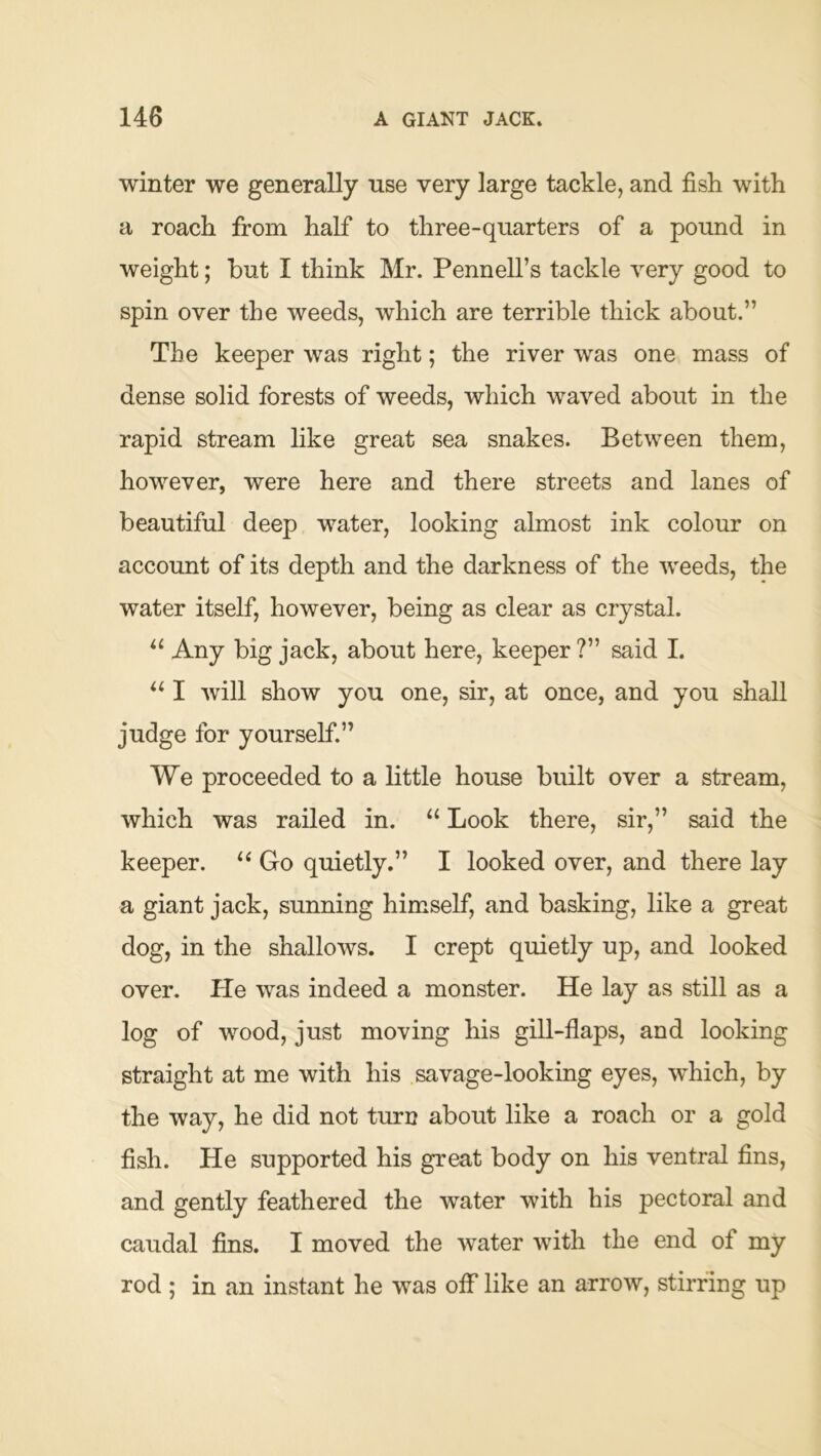 winter we generally use very large tackle, and fish with a roach from half to three-quarters of a pound in weight; but I think Mr. Pennell’s tackle very good to spin over the weeds, which are terrible thick about.” The keeper was right; the river was one mass of dense solid forests of weeds, which waved about in the rapid stream like great sea snakes. Between them, however, were here and there streets and lanes of beautiful deep water, looking almost ink colour on account of its depth and the darkness of the weeds, the water itself, however, being as clear as crystal. Any big jack, about here, keeper ?” said I. I will show you one, sir, at once, and you shall judge for yourself.” We proceeded to a little house built over a stream, which was railed in. “ Look there, sir,” said the keeper. ‘‘ Go quietly.” I looked over, and there lay a giant jack, sunning himself, and basking, like a great dog, in the shallows. I crept quietly up, and looked over. He was indeed a monster. He lay as still as a log of wood, just moving his gill-flaps, and looking straight at me with his savage-looking eyes, which, by the way, he did not turn about like a roach or a gold fish. He supported his great body on his ventral fins, and gently feathered the water with his pectoral and caudal fins. I moved the water with the end of my rod ; in an instant he was olf like an arrow, stirring up