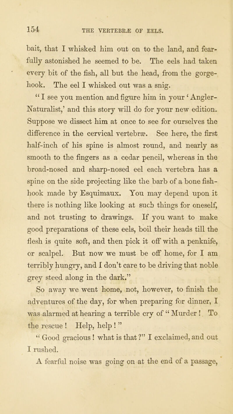 THE VERTEBRiE OF EELS. bait, that I whisked him out on to the land, and fear- fully astonished he seemed to be. The eels had taken every bit of the fish, all but the head, from the gorge- hook. The eel I whisked out was a snig. “ I see you mention and figure him in your ‘ Angler- Naturalist,’ and this story will do for your new edition. Suppose we dissect him at once to see for ourselves the difierence in the cervical vertebra?. See here, the first half-inch of his spine is almost round, and nearly as smooth to the fingers as a cedar pencil, whereas in the broad-nosed and sharp-nosed eel each vertebra has a spine on the side projecting like the barb of a bone fish- hook made by Esquimaux. You may depend upon it there is nothing like looking at such things for oneself, and not trusting to drawings. If you want to make good preparations of these eels, boil their heads till the fiesh is quite soft, and then pick it off with a penknife, or scalpel. But now we must be olF home, for I am terribly hungry, and I don’t care to be driving that noble grey steed along in the dark.” So away we went home, not, however, to finish the adventures of the day, for when preparing for dinner, I was alarmed at hearing a terrible cry of “ Murder ! To the rescue ! Help, help ! ” “ Good gracious ! what is that ?” I exclaimed, and out I rushed. A fearful noise was going on at the end of a passage,