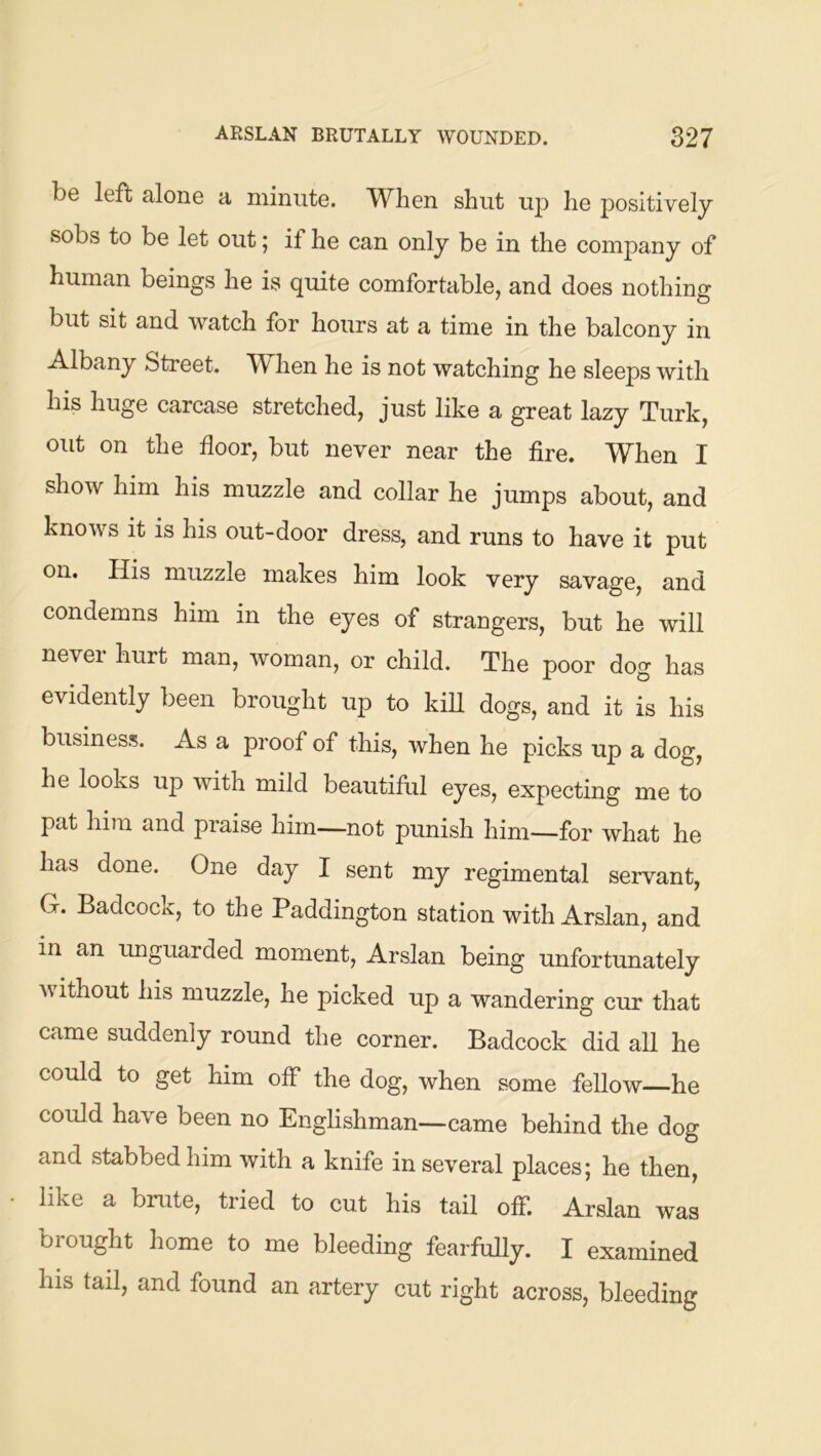 be left alone a minute. When shut ujd he positively sobs to be let out; if he can only be in the company of human beings he is quite comfortable, and does nothing but sit and watch for hours at a time in the balcony in Albany Street. W hen he is not watching he sleeps with his huge carcase stretched, just like a great lazy Turk, out on the floor, but never near the fire. When I show him his muzzle and collar he jumps about, and knows it is his out-door dress, and runs to have it put on. His muzzle makes him look very savage, and condemns him in the eyes of strangers, but he will nevei hurt man, woman, or child. The poor dog has evidently been brought up to kill dogs, and it is his business. As a proof of this, when he picks up a dog, he looks up with mild beautiful eyes, expecting me to pat him and praise him—not punish him—for what he has done. One day I sent my regimental servant, G. Badcock, to the Paddington station with Arslan, and in an unguarded moment, Arslan being unfortunately without his muzzle, he picked up a wandering cur that came suddenly round the corner. Badcock did all he could to get him off the dog, when some fellow—he could have been no Englishman—came behind the dog and stabbed him with a knife in several places; he then, like a brute, tried to cut his tail off. Arslan was brought home to me bleeding fearfully. I examined his tail, and found an artery cut right across, bleeding