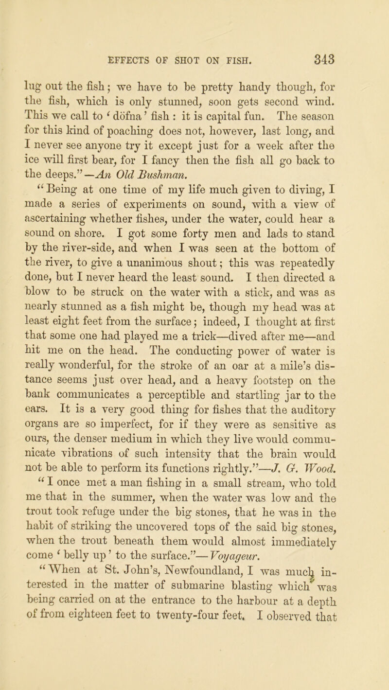 lug out tlie fish • we have to he pretty handy though, for the fish, which is only stunned, soon gets second wind. This we call to ^ dofna ’ fish : it is capital fun. The season for this kind of poaching does not, however, last long, and I never see anyone try it except just for a week after the ice will first bear, for I fancy then the fish all go back to the deeps.” —An Old Bushman. Being at one time of my life much given to diving, I made a series of experiments on sound, with a view of ascertaining whether fishes, under the water, could hear a sound on shore. I got some forty men and lads to stand by the river-side, and when I was seen at the bottom of the river, to give a unanimous shout; this was repeatedly done, but I never heard the least sound. I then directed a blow to be struck on the water with a stick, and was as nearly stunned as a fish might be, though my head was at least eight feet from the surface; indeed, I thought at first that some one had played me a trick—dived after me—and hit me on the head. The conducting power of water is really wonderful, for the stroke of an oar at a mile’s dis- tance seems just over head, and a heavy footstep on the bank communicates a perceptible and startling jar to the ears. It is a very good thing for fishes that the auditory organs are so imperfect, for if they were as sensitive as ours, the denser medium in which they live would commu- nicate vibrations of such intensity that the brain would not be able to perform its functions rightly.”—J. G. Wood. I once met a man fishing in a small stream, who told me that in the summer, when the water was low and the trout took refuge under the big stones, that he was in the habit of striking the uncovered tops of the said big stones, when the trout beneath them would almost immediately come ^ belly up ’ to the surface.”— Voyageur. ‘‘When at St. John’s, Newfoundland, I was muc^ in- terested in the matter of submarine blasting whicl/was being carried on at the entrance to the harbour at a depth of from eighteen feet to twenty-four feet. I observed that