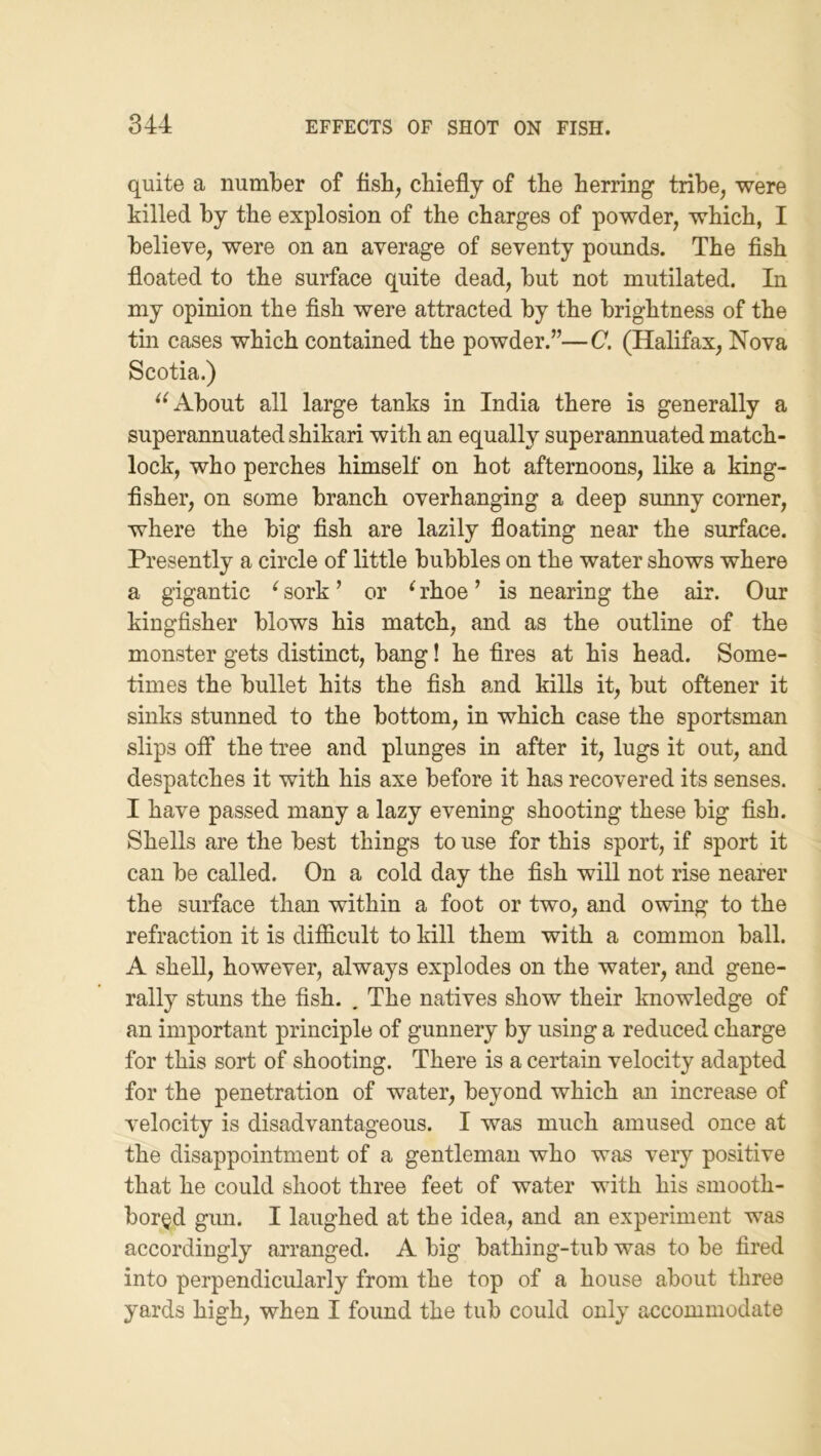 quite a number of iisb, chiefly of the herring tribe^ were killed by the explosion of the charges of powder, which, I believe, were on an average of seventy pounds. The flsh floated to the surface quite dead, but not mutilated. In my opinion the fish were attracted by the brightness of the tin cases which contained the powder.”—C. (Halifax, Nova Scotia.) About all large tanks in India there is generally a superannuated shikari with an equally superannuated match- lock, who perches himself on hot afternoons, like a king- fisher, on some branch overhanging a deep sunny corner, where the big fish are lazily floating near the surface. Presently a circle of little bubbles on the water shows where a gigantic ^ sork ’ or ^ rhoe ’ is nearing the air. Our kingfisher blows his match, and as the outline of the monster gets distinct, bang! he fires at his head. Some- times the bullet hits the fish and kills it, but oftener it sinks stunned to the bottom, in which case the sportsman slips ofi* the tree and plunges in after it, lugs it out, and despatches it with his axe before it has recovered its senses. I have passed many a lazy evening shooting these big fish. Shells are the best things to use for this sport, if sport it can be called. On a cold day the fish will not rise nearer the surface than within a foot or two, and owing to the refraction it is difiicult to kill them with a common ball. A shell, however, always explodes on the water, and gene- rally stuns the fish. . The natives show their knowledge of an important principle of gunnery by using a reduced charge for this sort of shooting. There is a certain velocity adapted for the penetration of water, beyond which an increase of velocity is disadvantageous. I was much amused once at the disappointment of a gentleman who was very positive that he could shoot three feet of water with his smooth- bor§d gun. I laughed at the idea, and an experiment was accordingly arranged. A big bathing-tub was to be fired into perpendicularly from the top of a house about three yards high, when I found the tub could only accommodate
