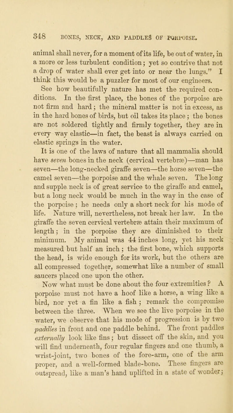 animal shall never, for a moment of its life, be out of water, in a more or less turbulent condition; yet so contrive that not a drop of water shall ever get into or near the lungs.” I think this would be a puzzler for most of our engineers. See how beautifully nature has met the required con- ditions. In the first place, the bones of the porpoise are not firm and hard; the mineral matter is not in excess, as in the hard bones of birds, but oil takes its place; the bones are not soldered tightly and firmly together, they are in every way elastic—in fact, the beast is always carried on elastic springs in the water. It is one of the laws of nature that all mammalia should have seven bones in the neck (cervical vertebrae)—man has seven—the long-necked giraffe seven—the horse seven—the camel seven—the porpoise and the whale seven. The long and supple neck is of great service to the giraffe and camel, but a long neck would be much in the way in the case of the porpoise j he needs only a short neck for his mode of life. Nature will, nevertheless, not break her law. In the giraffe the seven cervical vertebrae attain their maximum of length; in the porpoise they are diminished to their minimum. My animal was 44 inches long, yet his neck measured but half an inch ; the first bone, which supports the head, is wide enough for its work, but the others are all compressed together, somewhat like a number of small saucers placed one upon the other. Now what must be done about the four extremities ? A porpoise must not have a hoof like a horse, a wing like a bird, nor yet a fin like a fish 5 remark the compromise between the three. When we see the live porpoise in the water, we observe that his mode of progression is by two paddles in front and one paddle behind. The front paddles eocternally look like fins; but dissect off the skin, and you will find underneath, four regular fingers and one thumb, a wrist-joint, two bones of the fore-arm, one of the arm proper, and a well-formed blade-bone. These fingers are outspread, like a man’s hand uplifted in a state of wonder j