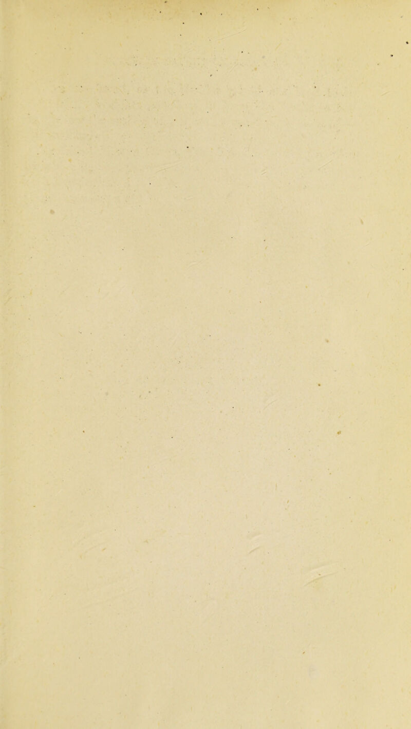 • ■ f \ s' •.'v' r ' *■ f f ✓ r I ■. i'- ) t t 4 I