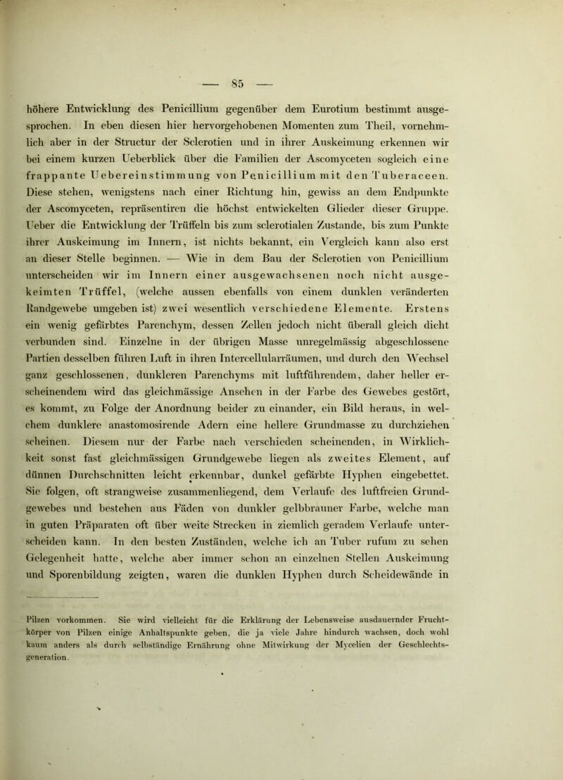 höhere Entwicklung des Penicillium gegenüber dem Eurotium bestimmt ausge- sprochen. In eben diesen hier hervorgehobenen Momenten zum Theil, vornehm- lich aber in der Structur der Sclerotien und in ihrer Auskeimung erkennen wir bei einem kurzen Ueberblick über die Eamilien der Ascomyceten sogleich eine frappante Uebereinstimmung von Penicillium mit den d'uberaceen. Diese stehen, wenigstens nach einer Richtung hin, gewiss an dem Endpunkte der Ascomyceten, repräsentiren die höchst entwickelten Glieder dieser Gruppe. Ueber die EnGvicklung der Trüffeln bis zum sclerotialen Zustande, bis zum Punkte ihrer Auskeimung im Innern, ist nichts bekannt, ein Vergleich kann also erst an dieser Stelle beginnen. — Wie in dem Bau der Sclerotien von Penicillium unterscheiden wir im Innern einer ausgewachsenen noch nicht ausge- keimten Trüffel, (welche aussen ebenfalls von einem dunklen veränderten Randgewebe umgeben ist) zwei wesentlich verschiedene Elemente. Erstens ein wenig gefärbtes Parenchym, dessen Zellen jedoch nicht überall gleich dicht verbunden sind. Einzelne in der übrigen Masse unregelmässig abgeschlossene Partien desselben führen Luft in ihren Intercellularräumen, und diu’ch den Wechsel ganz geschlossenen, dunkleren Parenchyms mit luftführendem, daher heller er- scheinendem wird das gleichmässige Ansehen in der Farbe des Gewebes gestört, es kommt, zu Folge der Anordnung beider zu einander, ein Bild heraus, in wel- chem dunklere anastomosirende Adern eine hellere Grundmasse zu durchziehen scheinen. Diesem nur der Farbe nach verschieden scheinenden, in Wirklich- keit sonst fast gleichmässigen Grundgewebe liegen als zweites Element, auf dünnen Durchschnitten leicht erkennbar, dunkel gefärbte Hyphen eingebettet. Sie folgen, oft strangweise zusammenliegend, dem Verlaufe des luftfreien Grund- geAvebes und bestehen aus Fäden von dunkler gelbbrauner Farbe, welche man in guten Präparateai oft über weite Strecken in ziemlich geradem Verlaufe unter- scheiden kann. In den besten Zuständen, Avelche ich an Tuber rufum zu sehen Gelegenheit hatte, welche aber immer schon an einzelnen Stellen Auskeimung und Sporenbildung zeigten, waren die dunklen Hyphen durch Scheidewände in Pilzen Vorkommen. Sie wird vielleicht für die Erklärung der Lebensweise ausdauernder Frucht- körper von Pilzen einige Anhaltspunkte geben, die ja viele Jahre hindurch w'achsen, doch wohl kaum anders als durdi selbständige Ernährung ohne Mitwirkung der Mycelien der Geschlechts- gcneration.