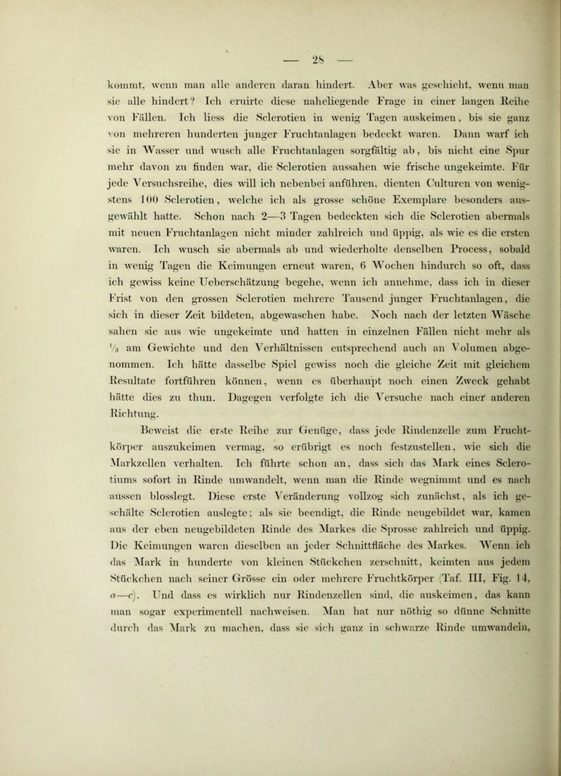 kommt, Avenn man alle anderen daran hindert. Aber was geschieht, wenn man sie alle hindert? Ich ernirte diese naheliegende Frage in einer langen Reihe von Fällen. Ich liess die Sclerotien in wenig Tagen anskeimen, bis sie ganz von mehreren hunderten junger Fruchtanlagen bedeckt Avaren. Dann Avarf ich sie in Wasser und Avusch alle Frnchtanlagen sorgfältig ab, bis nicht eine Spur mehr davon zu finden Avar, die Sclerotien aussahen Avie frische ungekeimte. Für jede Versuchsreihe, dies Avill ich nebenbei anführen, dienten Culturen von Avenig- stens 100 Sclerotien, Avelche ich als grosse schöne Exemplare besonders aus- geAvählt hatte. Schon nach 2—3 Tagen bedeckten sich die Sclerotien abermals mit neuen Fruchtanlagen nicht minder zahlreich und üppig, als Avie es die ersten Avaren. Ich Avusch sie abermals ab und wiederholte denselben Process, sobald in Avenig Tagen die Keimungen erneut Avaren, 6 Wochen hindurch so oft, dass ich gcAAUss keine Ueberschätzung begehe, Avenn ich annehme, dass ich in dieser Frist von den grossen Sclerotien mehrere Tausend junger Fruchtanlagen, die .sich in dieser Zeit bildeten, abgCAvaschen habe. Noch nach der letzten Wäsche sahen sie aus Avie ungekeimte und hatten in einzelnen Fällen nicht mehr als '4 am GeAvichte und den Verhältnissen entsprechend auch an Volumen abge- nommen. Ich hätte dasselbe Spiel geAviss noch die gleiche Zeit mit gleichem Resultate fortführen können, Avenn es überhaupt noch einen ZAveck gehabt hätte dies zu thun. Dagegen verfolgte ich die Versuche naeh einer anderen Richtung. Beweist die erste Reihe zur Genüge, dass jede Rindenzelle zum Frucht- körper auszukeimen vermag, so erübrigt es noch festznstellen, Avie sich die Markzellen verhalten. Ich führte schon an, dass sich das Mark eines Sclero- tiums sofort in Rinde umAvandelt, Avenn man die Rinde Avegnimmt und es nach anssen blosslegt. Diese erste Veränderung vollzog sich zunächst, als ich ge- schälte Sclerotien auslegte; als sie beendigt, die Rinde neugebildet Avar, kamen aus der eben neugebildeten Rinde des Markes die Sprosse zahlreich und üppig. Die Keimungen Avaren dieselben an jeder Schnittfläche des Markes. Wenn ich das Mark in hunderte von kleinen Stückchen zerschnitt, keimten aus jedem Stückchen nach seiner Grösse ein oder mehrere Fruchtkörper (Taf. III, Fig. 14, a—c). Und dass es Avirklich nur Rindenzellen sind, die auskeimen, das kann man sogar experimentell nachAveisen. Man hat nur nöthig so dünne Schnitte durch das Mark zu machen, dass .sie sich ganz in scliAA'arze Rinde umAA^andein,