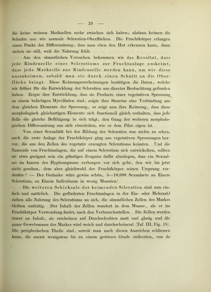 die keine weissen Markzellen mehr zwischen sich habend alsdann keimen die Schnitte aus wie normale Sclerotien-Oberflächen. Die Fruchtkörper erlangen einen Punkt der DifFerenzirung, dass man eben den Hut erkennen kann, dann stehen sie still, weil die Nahrung fehlt. Aus den sämmtlichen Versuchen bekommen wir das Resultat, dass jede Rindenzelle eines Sclerotiums zur Fruchtanlage auskeimt, dass jede Markzelle zur Rindenzelle werden kann, um wie diese auszukeimen, sobald man sie durch einen Schnitt an die Ober- fläche bringt. Diese Keimungserscheinungen bestätigen die Daten, welche Avir früher für die EntAvicklung der Sclerotien aus directer Beobachtung gefunden haben. Zeigte ihre EntAvicklung, dass sie Producte einer vegetativen Sprossung an einem beliebigen Mycelfaden sind, zeigte ihre Structur eine Verbindung aus dem gleichen Elemente der Sprossung, so zeigt nun ihre Keimung, dass diese morphologisch gleichartigen Elemente sich functionell gleich verhalten, dass jede Zelle die gleiche Befähigung in sich trägt, den Gang der weiteren morpholo- gischen DifFerenzirung aus sich einzuleiten, wie er dem Pilze eigen ist. Von einer Sexualität bei der Bildung der Sclerotien Avar nichts zu sehen, auch die erste Anlage der Fruchtkörper ging aus vegetativen Sprossungen her- vor, die aus den Zellen des vegetativ erzeugten Sclerotiums keimten. Und die Tausende von Fruchtanlagen, die auf einem Sclerotium sich entwickelten, sollten sie etwa geeignet sein ein günstiges Zeugniss dafür abzulegen, dass ein Sexual- act im Innern der Hyphensprosse verborgen vor sich geht, den Avir bis jetzt nicht gesehen, dem aber gleichwohl der Fruchtkörper seinen Ursprung ver- dankte? — Der Gedanke Aväre geAviss schön, 5—10,000 Sexualacte an Einem Sclerotium, an Einem Individuum in wenig Monaten! Die weiteren Schicksale der keimenden Sclerotien sind nun ein- fach und natürlich. Die geförderten Fruchtanlagen in der Ein- oder Mehrzahl ziehen alle Nahrung des Sclerotiums an sich, die sämmtlichen Zellen des Markes bleiben unthätig. Der Inhalt der Zellen wandert in dem Maasse, als er im Fruchtkörper Vei’Avendung findet, nach den Verbrauchsstellen. Die Zellen werden ärmer an Inhalt, sie erscheinen auf Durchschnitten matt und glasig und die ganze Gewebsmasse des Markes Avird Aveich und durchscheinend (Taf. HI, Fig. 18). Die peripherischen Theile sind, soAveit man nach diesen Anzeichen schliessen kann, die zuerst wenigstens bis zu einem gewissen Grade entleerten, von da