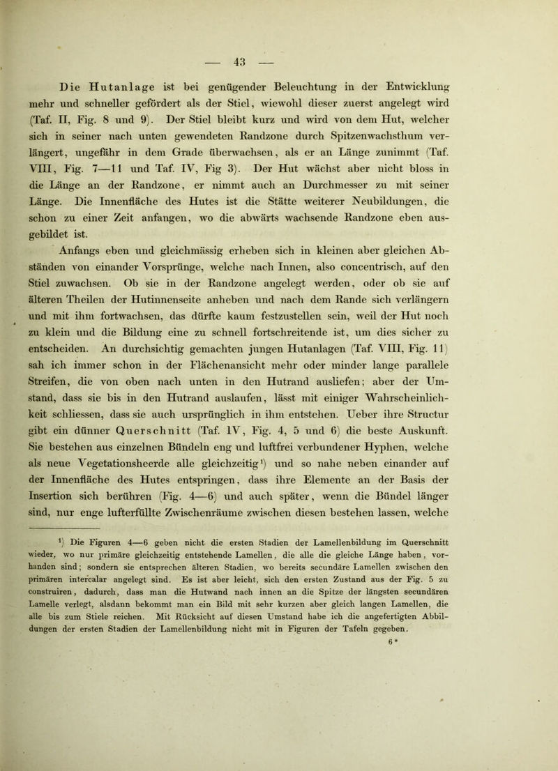 Die Hu tan läge ist bei genügender Beleuchtung in der Entwicklung mehr und schneller gefördert als der Stiel, wiewohl dieser zuerst angelegt wird (Taf. II, Fig. 8 und 9). Der Stiel bleibt kurz und wird von dem Hut, welcher sich in seiner nach unten gewendeten E-andzone durch Spitzenwachsthum ver- längert, ungefähr in dem Grade überwachsen, als er an Länge zunimmt (Taf. VIII, Fig. 7—11 und Taf. IV, Fig 3). Der Hut wächst aber nicht bloss in die Länge an der Randzone, er nimmt auch an Durchmesser zu mit seiner Länge. Die Innenfläche des Hutes ist die Stätte weiterer Neubildungen, die schon zu einer Zeit anfangen, wo die abwärts wachsende Bandzone eben aus- gebildet ist. Anfangs eben und gleichmässig erheben sich in kleinen aber gleichen Ab- ständen von einander Vorsprünge, welche nach Innen, also concentrisch, auf den Stiel Zuwachsen. Ob sie in der Randzone angelegt werden, oder ob sie auf älteren Theilen der Hutinnenseite anheben und nach dem Rande sich verlängern und mit ihm fortwachsen, das dürfte kaum festzustellen sein, weil der Hut noch zu klein und die Büdung eine zu schnell fortschreitende ist, um dies sicher zu entscheiden. An durchsichtig gemachten jungen Hutanlagen (Taf. VIII, Fig. 11) sah ich immer schon in der Flächenansicht mehr oder minder lange parallele Streifen, die von oben nach unten in den Hutrand ausliefen; aber der Um- stand, dass sie bis in den Hutrand auslaufen, lässt mit einiger Wahrscheinlich- keit schliessen, dass sie auch ursprünglich in ihm entstehen. Ueber ihre Structur gibt ein dünner Querschnitt (Taf. IV, Fig. 4, 5 und 6) die beste Auskunft. Sie bestehen aus einzelnen Bündeln eng und luftfrei verbundener Hyphen, welche als neue Vegetationsheerde alle gleichzeitig^) und so nahe neben einander auf der Innenfläche des Hutes entspringen, dass ihre Elemente an der Basis der Insertion sich berühren (Fig. 4—6) und auch später, wenn die Bündel länger sind, nur enge lufterfüllte Zwischenräume zwischen diesen bestehen lassen, welche Die Figuren 4—6 geben nicht die ersten Stadien der Lamellenbildung im Querschnitt wieder, wo nur primäre gleichzeitig entstehende Lamellen, die alle die gleiche Länge haben, vor- handen sind; sondern sie entsprechen älteren Stadien, wo bereits secundäre Lamellen zwischen den primären intefcalar angelegt sind. Es ist aber leicht, sich den ersten Zustand aus der Fig. 5 zu construiren, dadurch, dass man die Hutwand nach innen an die Spitze der längsten secundären Lamelle verlegt, alsdann bekommt man ein Bild mit sehr kurzen aber gleich langen Lamellen, die alle bis zum Stiele reichen. Mit Rücksicht auf diesen Umstand habe ich die angefertigten Abbil- dungen der ersten Stadien der Lamellenbildung nicht mit in Figuren der Tafeln gegeben. 6*