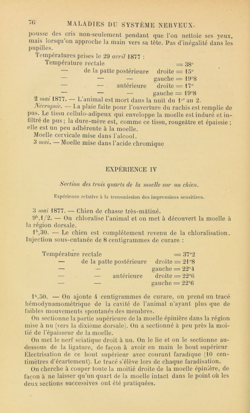 j)Ousse (les cris non-seulement pendant que l’on nettoie ses yeux, mais lorsqu on approche la main vers sa tête. Pas d’inégalité dans les pupilles. Températures prises le 29 avril J877 : Température rectale = 38** de la patte postérieure droite =: 15” — — — gauche = 19”8 — . — . antérieure droite = 17” — — — gauche = 19°8 ^ mai 1877. — L’animal est mort dans la nuit du l”* au 2. ISécropsie. — La plaie faite pour l’ouverture du rachis est remplie de pus. Le tissu cellulo-adipeux qui enveloppe la moelle est induré et in- filtré de pus ; la dure-mère est, comme ce tissu, rougeâtre et épaissie ; elle est un peu adhérente à la moelle. Moelle cervicale mise dans l’alcool. 3 mai. — Moelle mise dans l’acide chromique EXPÉRIENCE IV Section des trois quarts de la moelle sur un chien. Expérience relative à la transmission des impressions sensitives. 3 mai 1877. — Chien de chasse très-mâtiné. U**,1/2. — On chloralise l’animal et on met à découvert la moelle à la région dorsale. U,30. — Le chien est complètement revenu de la chloralisation. Injection sous-cutanée de 8 centigrammes de curare : Température rectale = 37”2 — de la patte postérieure droite = 21”8 — — gauche = 22”4 — — antérieure droite = 22”6 — — gauche = 22”6 l'*,5Ü. — On ajoute 4 centigrammes de curare, on prend un tracé hémodynamométrique de la cavité de l’animal n’ayant plus que de faibles mouvements spontanés des membres. On sectionne la partie supérieure de la moelle épinière dans la région mise à nu (vers la dixième dorsale). On a sectionné à peu près la moi- tié de l’épaisseur de la moelle. On met le nerf sciatique droit à nu. On le lie et on le sectionne au- dessous de la ligature, de façon à avoir en main le bout supérieur l'dectrisation de ce bout supérieur avec courant faradique (10 cen- timètres d’écartement). Le tracé s’élève lors de chaque faradisation. On cherche à couper toute la moitié droite de la moelle épinière, de façon à ne laisser qu’un quart de la moelle intact dans le point où les deux sections successives ont été pratiquées.