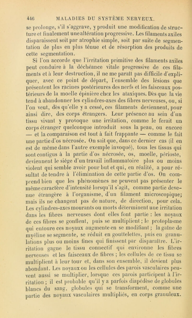 se prolonge, s’il s’aggrave, y produit une modification de slruc- tureet finalement unealtération progressive. Les filamentsaxiles disparaissent soit par atrophie simple, soit par suite de segmen- tation de plus en plus ténue et de résorption des produits de cette segmentation. Si l’on accorde que l’irritation primitive des filaments axiles peut conduire à la déchéance vitale progressive de ces fila- ments et à leur destruction, il ne me paraît pas difficile d’expli- quer, avec ce point de départ, l’ensemble des lésions que présentent les racines postérieures des nerfs et les faisceaux pos- térieurs de la moelle épinière chez les ataxiques. Dès que la vie tend à abandonner les cylindres-axes des fibres nerveuses, ou, si l’on veut, dès qu’elle va cessé, ces filaments deviennent, pour ainsi dire, des corps étrangers. Leur présence au sein d’un tissu vivant y provoque une irritation, comme le ferait un corps étranger quelconque introduit sous la peau, ou encore — et la comparaison est tout à fait frappante — comme le fait une partie d’os nécrosée. On sait que, dans ce dernier cas (il en est de même dans l’autre exemple invoqué), tous les tissus qui sont contigus à la partie d’os nécrosée, os, moelle, périoste, deviennent le siège d’un travail inflammatoire plus ou moins violent qui semble avoir pour but et qui, en réalité, a pour ré- sultat de tendre à l’élimination de cette partie d’os. On com- prend bien que les phénomènes ne peuvent pas présenter le même caractère d’intensité lorsqu’il s’agit, comme partie deve- nue étrangère à l’organisme, d’un filament microscopique; mais ils ne changent pas dénaturé, de direction, pour cela. Les cylindres-axes mourants ou morts déterminent une irritation dans les fibres nerveuses dont elles font partie : les noyaux de ces fibres se gonllent, puis se multiplient ; le protoplasme qui entoure ces noyaux augmente en se modifiant ; la gaine de myéline se segmente, se réduit en gouttelettes, puis en granu- lations plus ou moins fines qui finissent par disparaître. L’ir- ritation gagne le tissu connectif qui enviioiine les fibres nerveuses et les faisceaux de fibres ; les cellules de ce tissu se multiplient à leur tour et, dans son ensemble, il devient plus abondant. Les noyaux ou les cellules des [)arois vasculaires peu- vent aussi se multiplier, lorsque ces parois participent à l’ir- ritation ; il est probable qu’il y a parfois diapédèse de globules blancs du sang, globules qui se transforment, comme une partie des noyaux vasculaires multipliés, en corps granuleux.