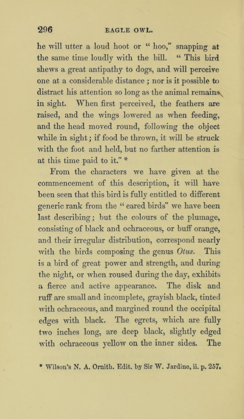 he will utter a loud hoot or “ hoo,” snapping at the same time loudly with the bill. “ This bird shews a great antipathy to dogs, and will perceive one at a considerable distance ; nor is it possible to distract his attention so long as the animal remains^ in sight. When first perceived, the feathers are raised, and the wings lowered as when feeding, and the head moved round, following the object while in sight; if food be thrown, it will be struck with the foot and held, but no farther attention is at this time paid to it.” * From the characters we have given at the commencement of this description, it will have been seen that this bird is fully entitled to different generic rank from the “ eared birds” we have been last describing; but the colours of the plumage, consisting of black and ochraceous, or buff orange, and their irregular distribution, correspond nearly with the birds composing the genus Otus. This is a bird of great power and strength, and during the night, or when roused during the day, exhibits a fierce and active appearance. The disk and ruff are small and incomplete, grayish black, tinted with ochraceous, and margined round the occipital edges with black. The egrets, which are fully two inches long, are deep black, slightly edged with ochraceous yellow on the inner sides. The * Wilson’s N. A. Omith. Edit, by Sir W. Jardine, ii. p. 257.