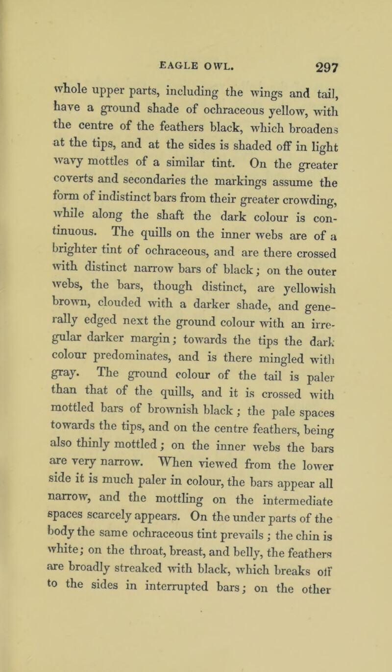 whole upper parts, including the wings and tail, have a ground shade of ochraceous yellow, with the centre of the feathers black, which broadens at the tips, and at the sides is shaded off in light wavy mottles of a similar tint. On the greater coverts and secondaries the markings assume the form of indistinct bars from their greater crowding, while along the shaft the dark colour is con- tinuous. The quills on the inner webs are of a brighter tint of ochraceous, and are there crossed with distinct narrow bars of black; on the outer webs, the bars, though distinct, are yellowish brown, clouded with a darker shade, and gene- rally edged next the ground colour with an irre- gular darker margin; towards the tips the dark colour predominates, and is there mingled witli gray. The ground colour of the tail is paler than that of the quills, and it is crossed with mottled bars of brownish black; the pale spaces towards the tips, and on the centre feathers, being also thinly mottled; on the inner webs the bars are very narrow. When viewed from the lower side it is much paler in colour, the bars appear all narrow, and the mottling on the intermediate spaces scarcely appears. On the under parts of the body the same ochraceous tint prevails ; the chin is white; on the throat, breast, and belly, the feathers are broadly streaked writh black, which breaks olF to the sides in interrupted bars; on the other